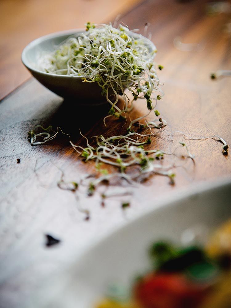 Apple releases iOS 15.7 for old devices and people who don’t want iOS 16 yet