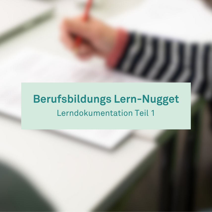 Berufsbildungs Lern-Nugget: Lerndokumentation Teil 1