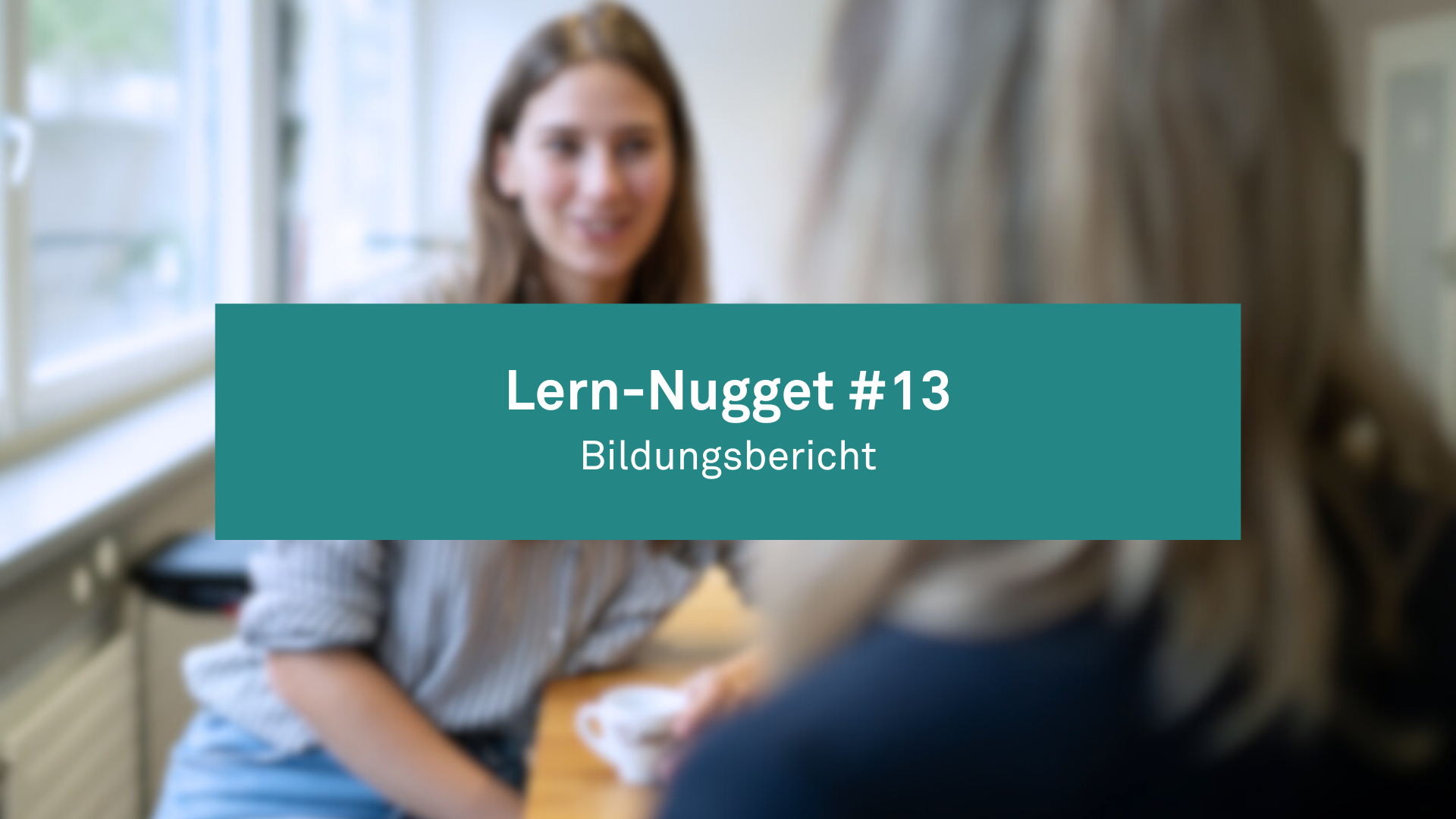 Lern-Nugget #13: Bildungsbericht