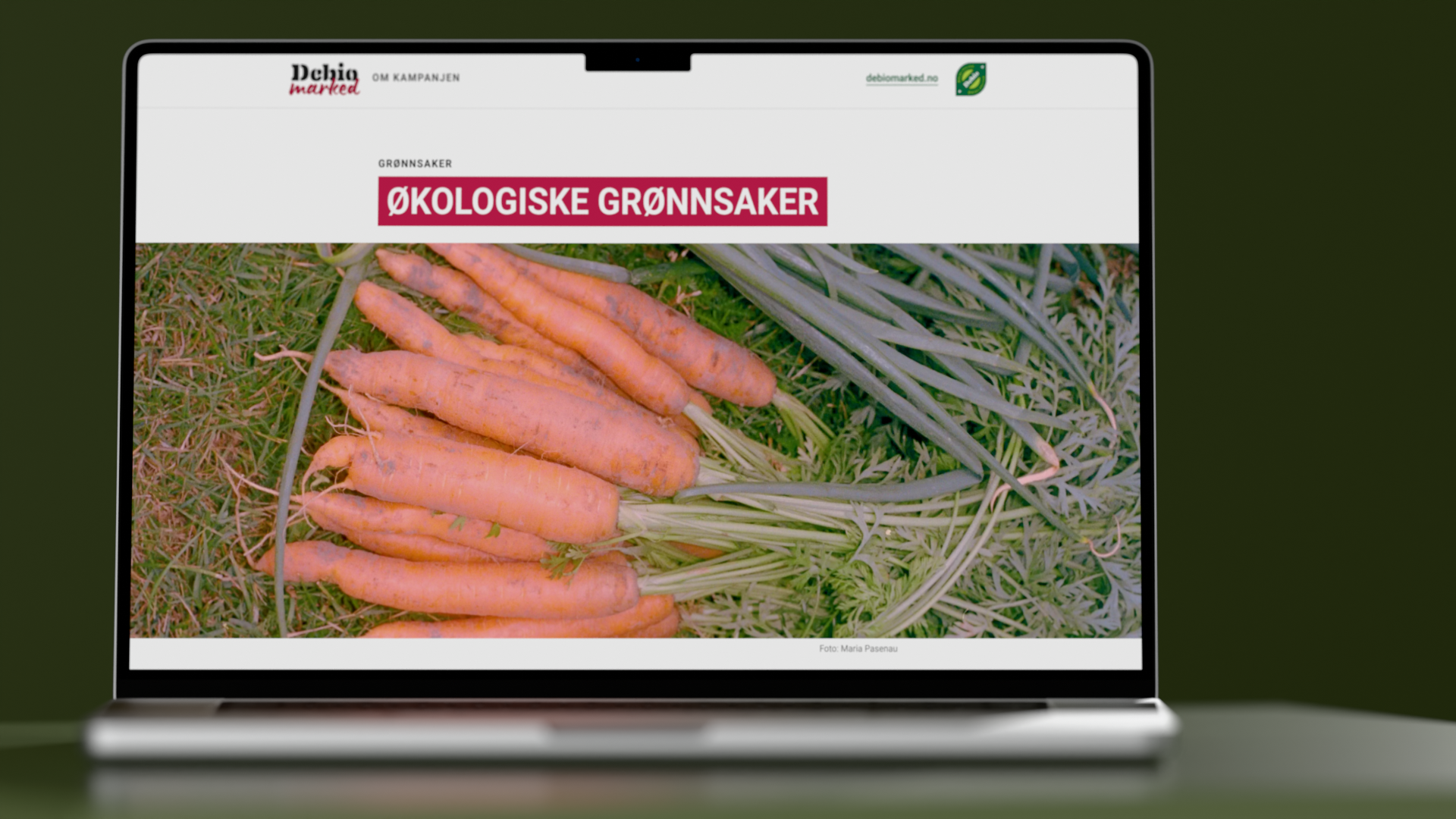 En side for én produksjonstype, med overskriftsfeltet i hvite versaler på en ensfarget blokk over et heldekkende foto