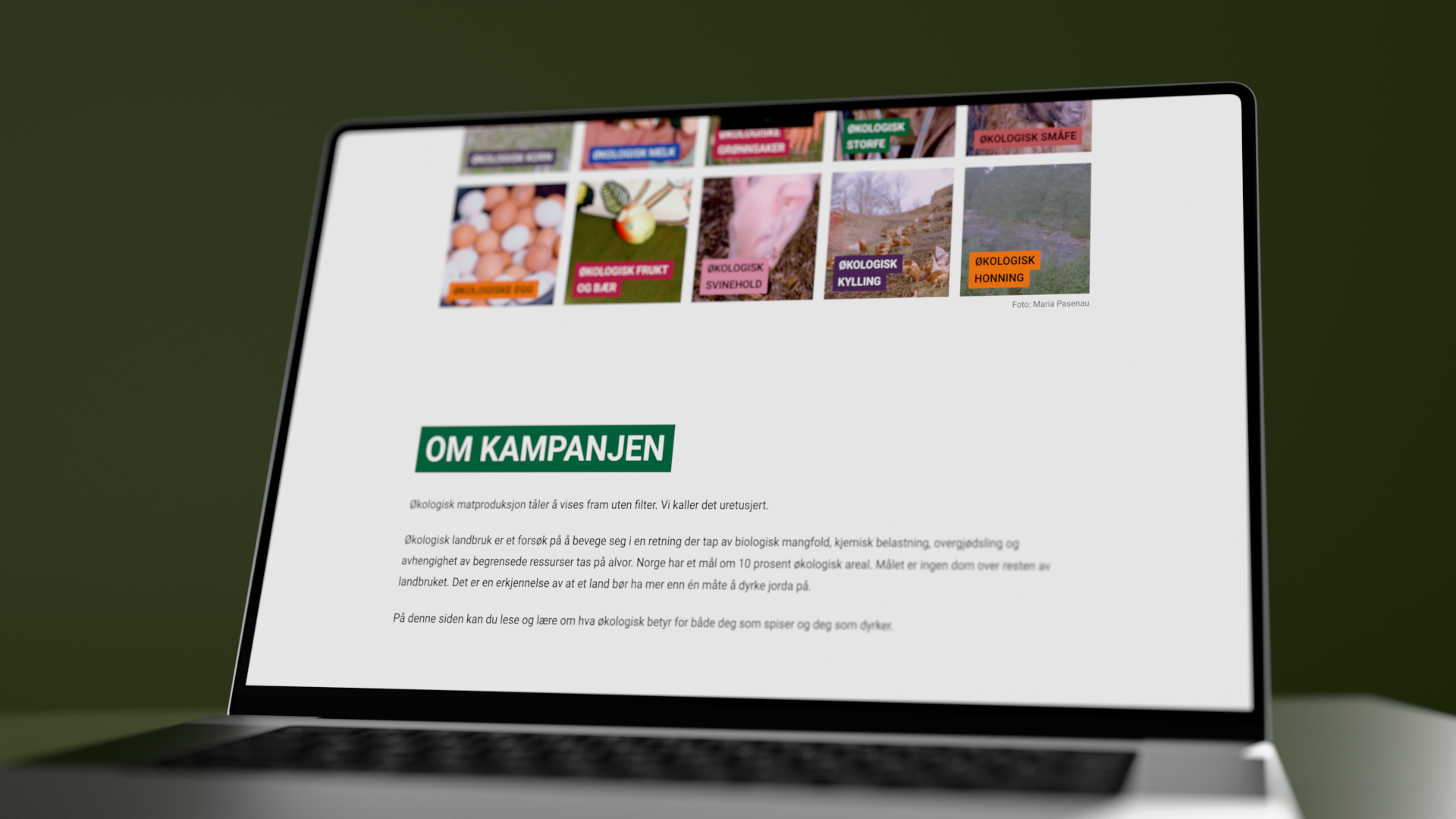Rutenettet med alle ti produksjonstypene, hver med sin egen aksentfarge, over kampanjeteksten