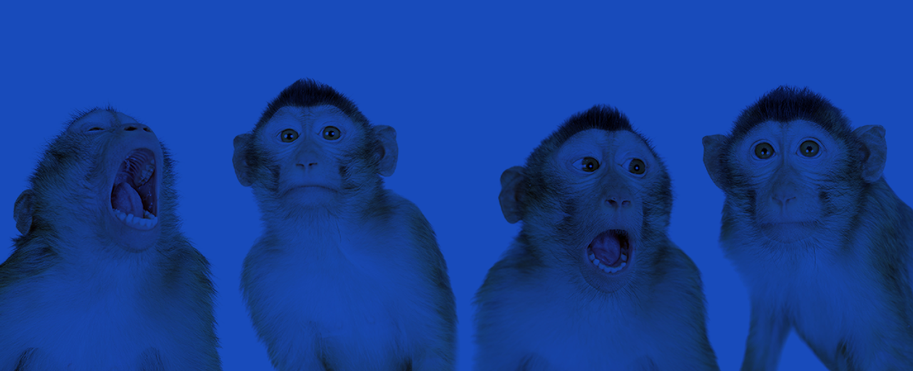 Cyberimpact, l'alternative québécoise à Mailchimp selon Isarta