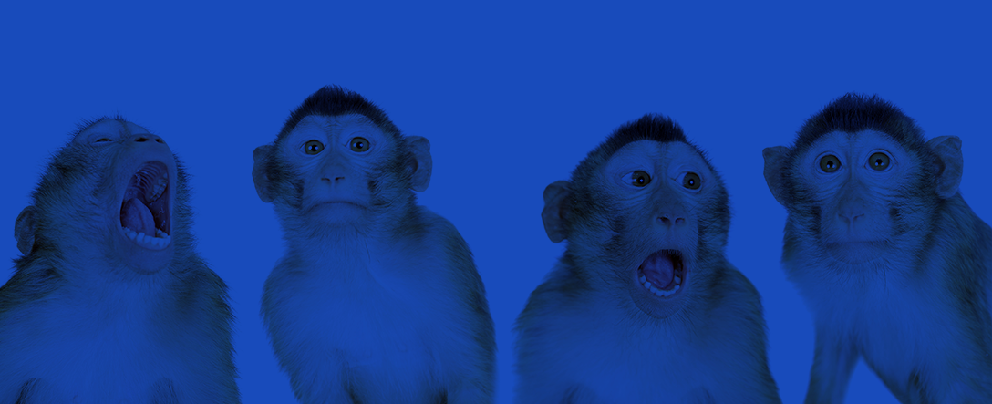 Cyberimpact, l'alternative québécoise à Mailchimp selon Isarta