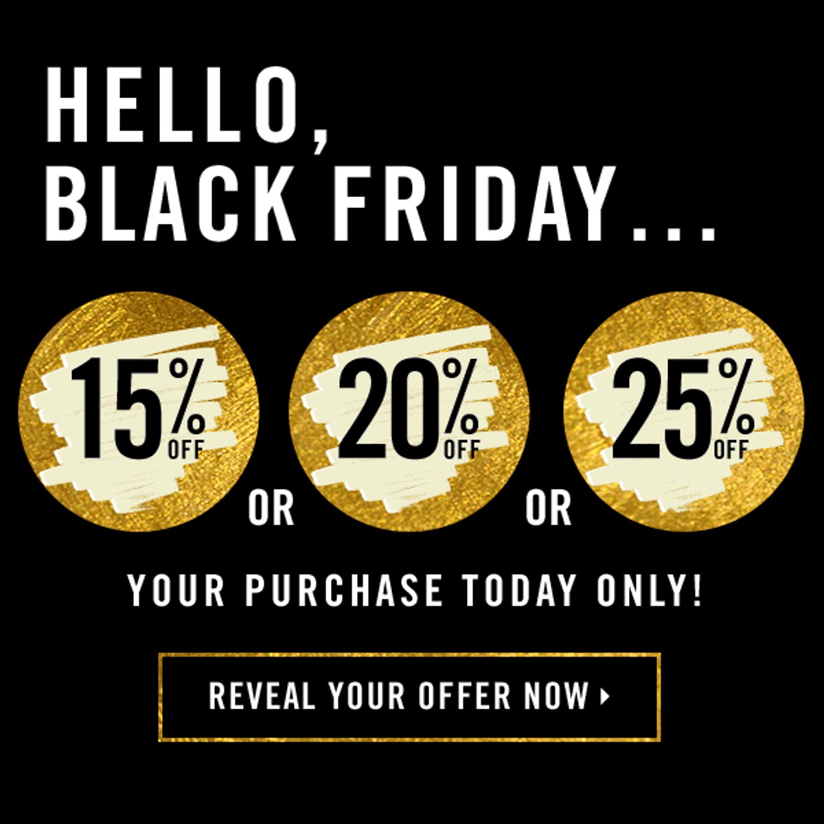 Black-Friday-interactive-newsletter-example