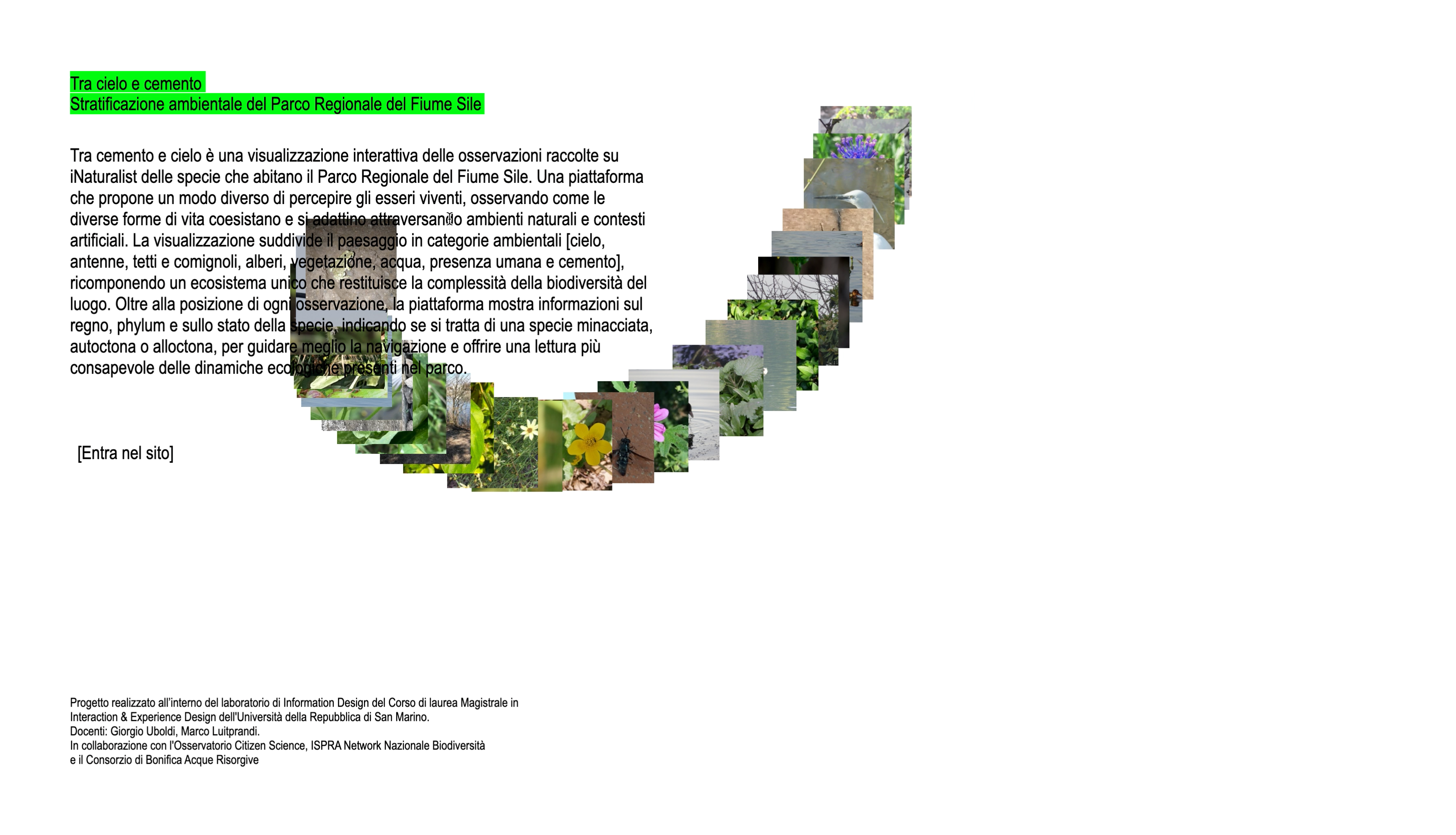 Project image 1