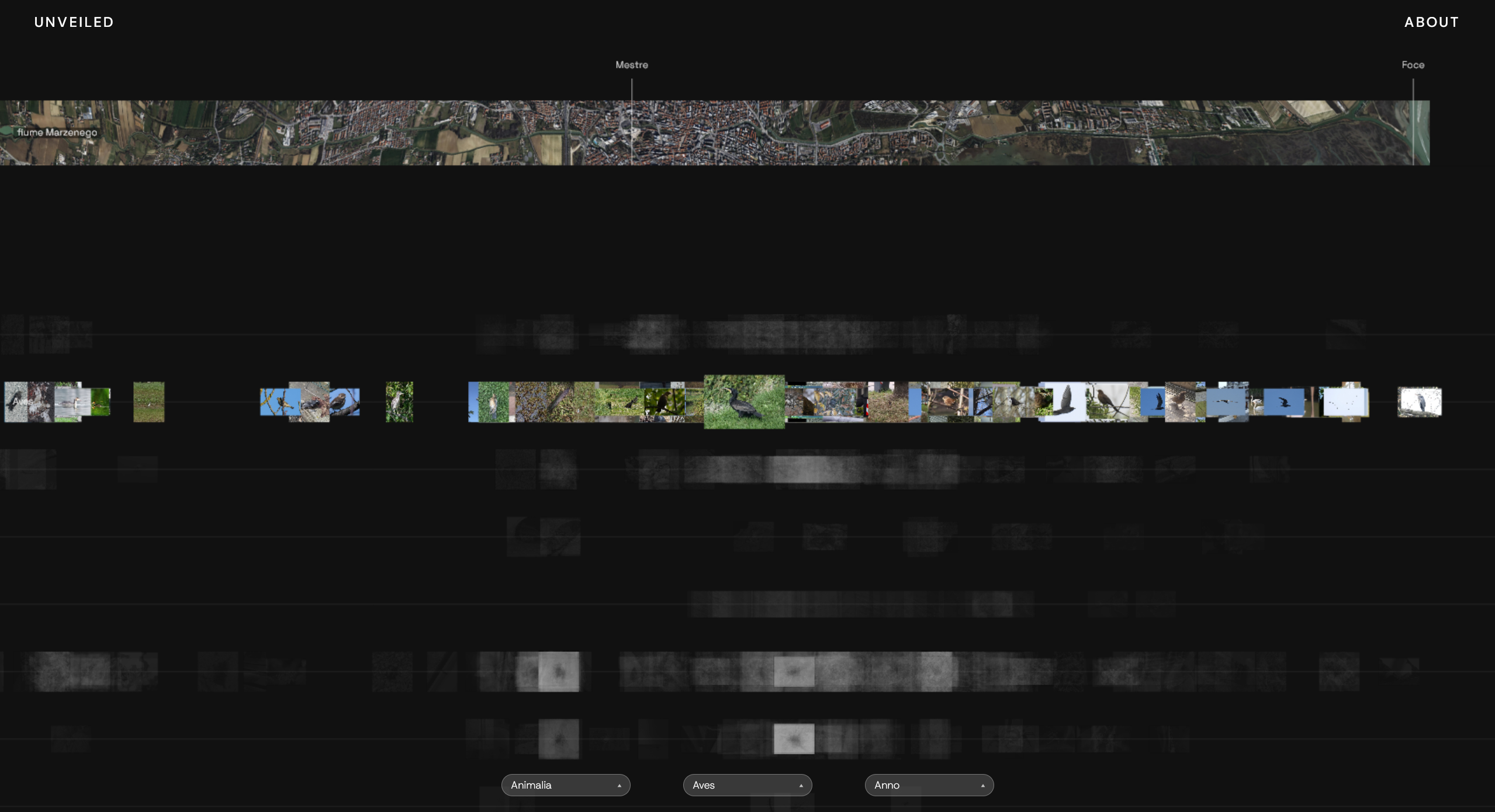 Project image 2
