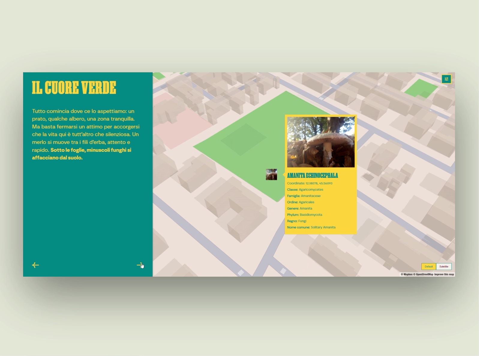 Project image 3