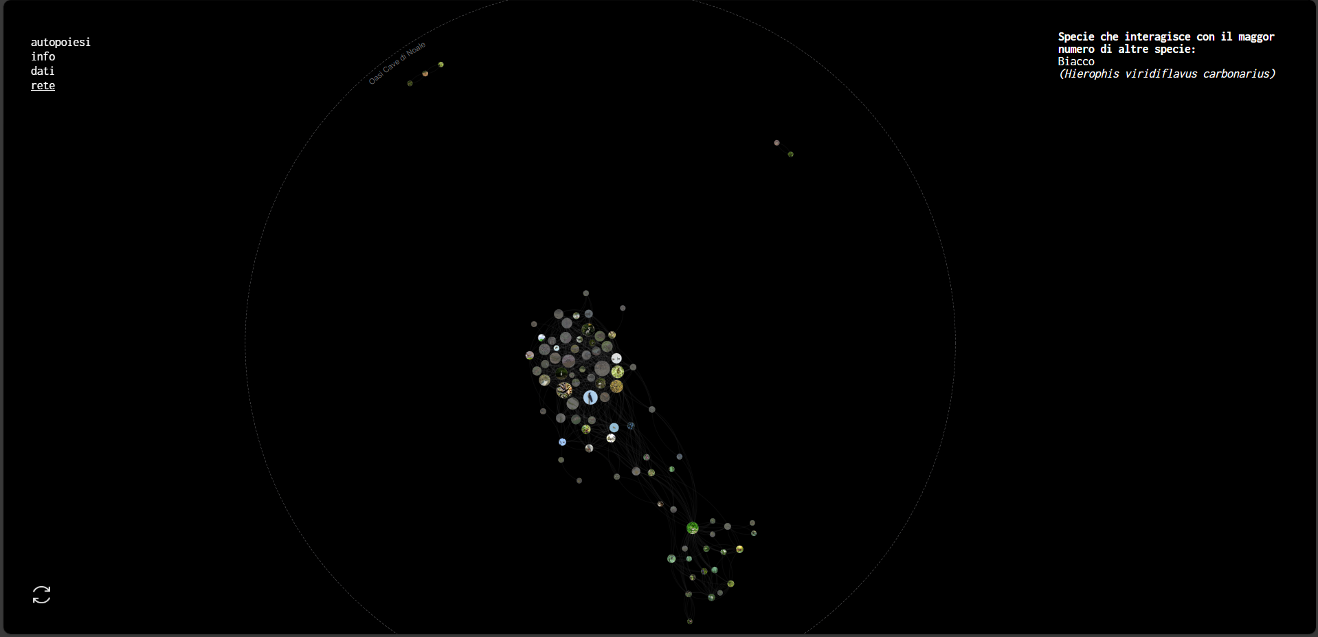 Project image 3