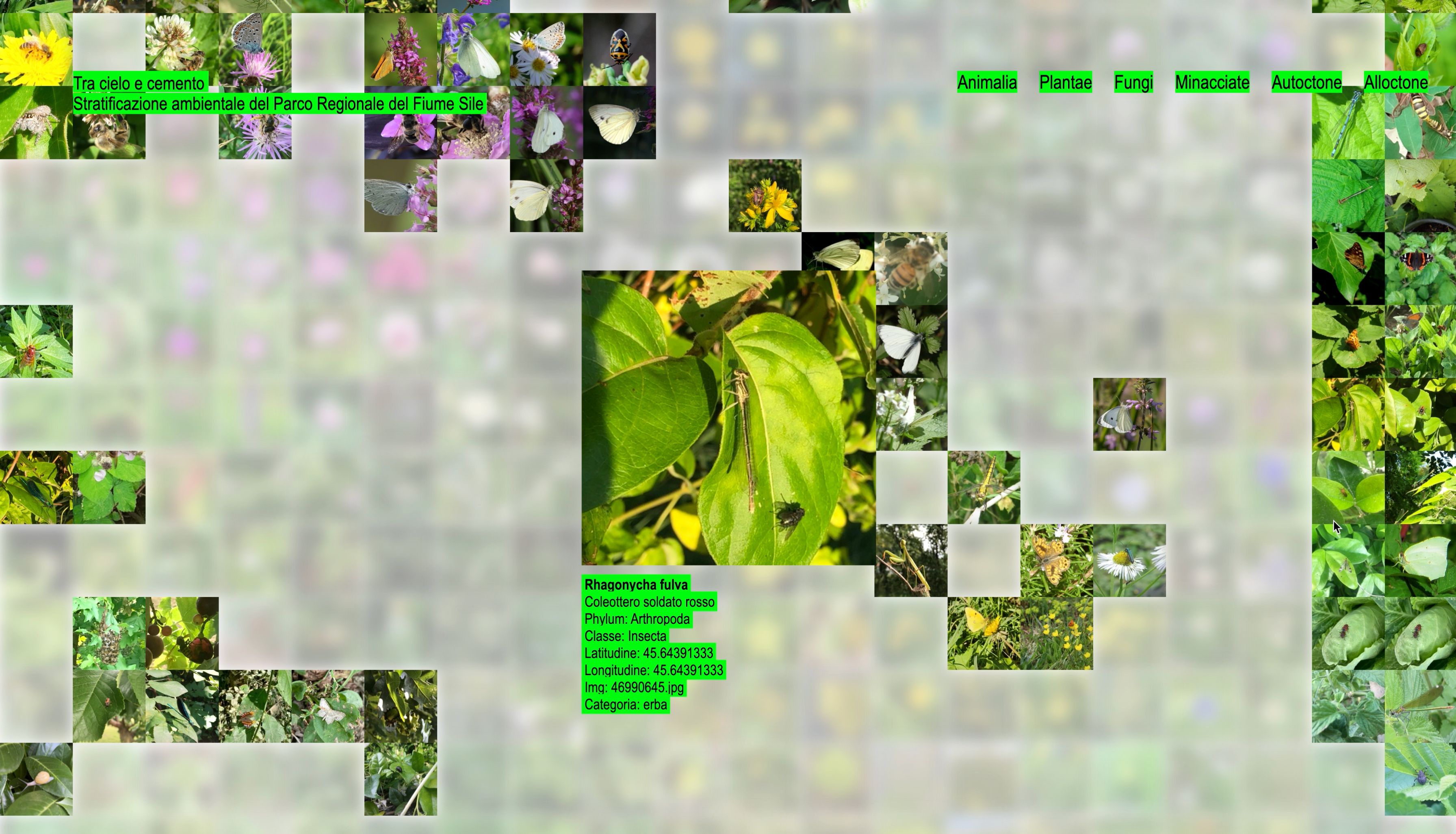Project image 3
