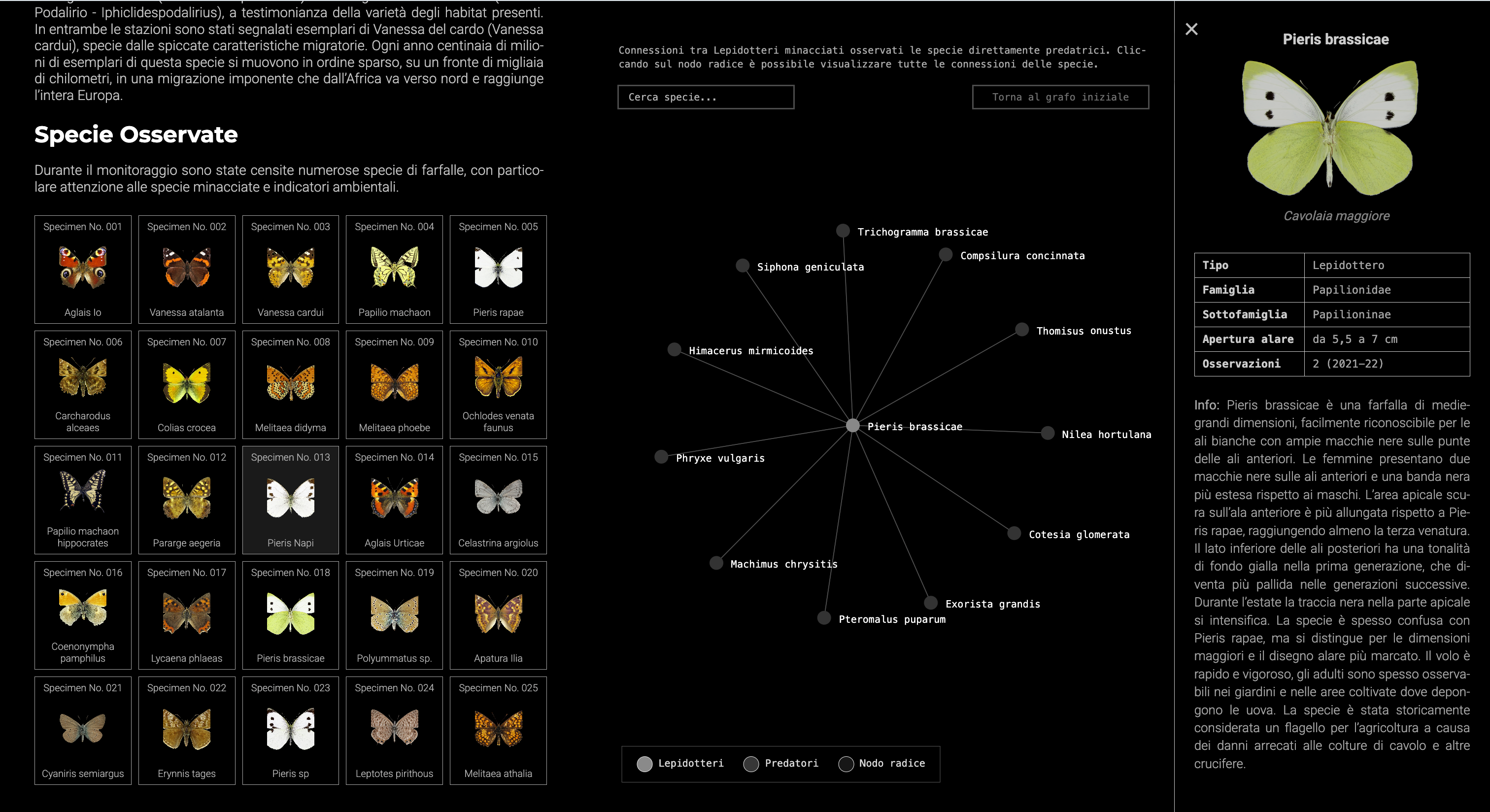 Project image 2