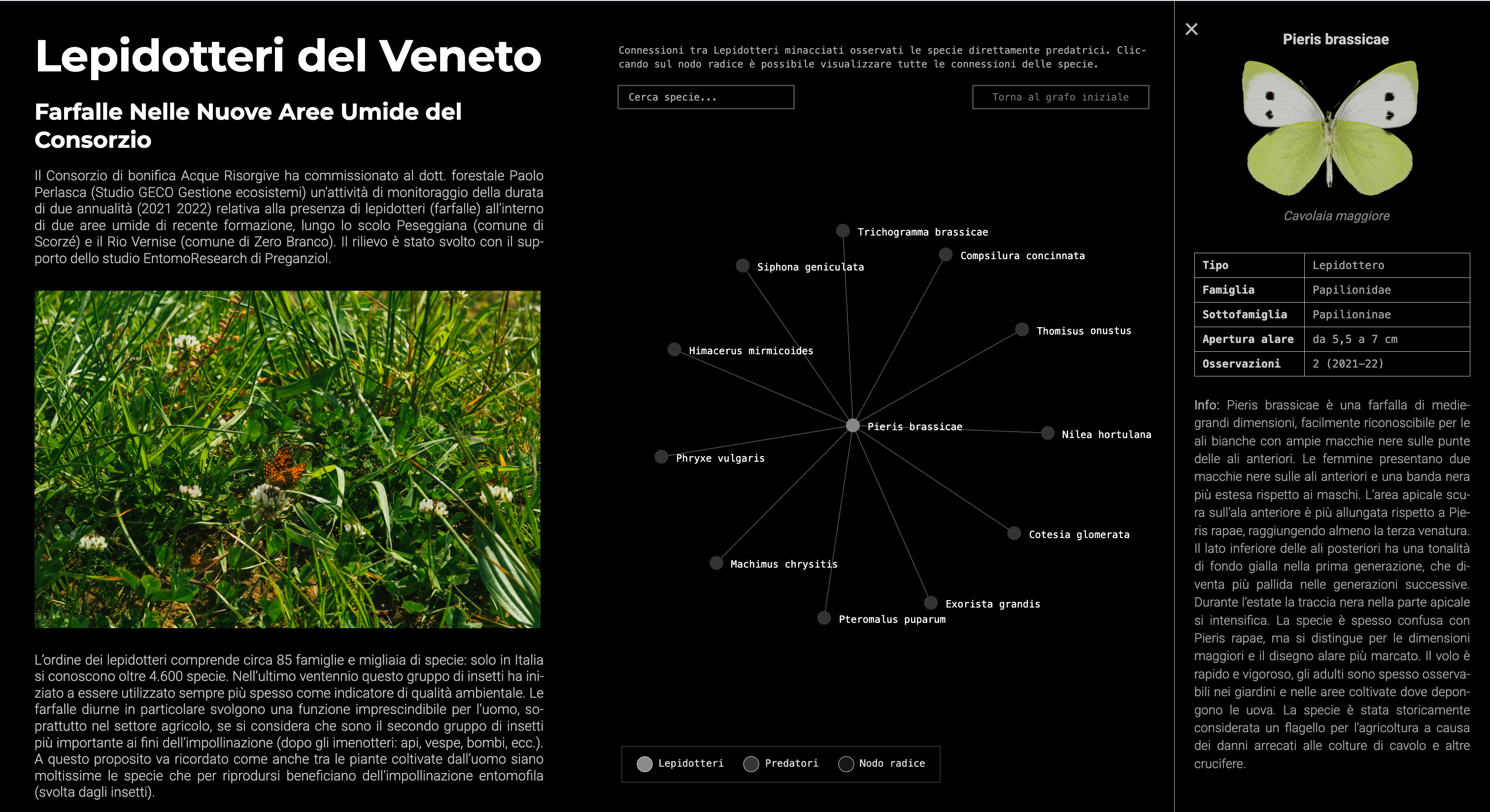 Project image 3