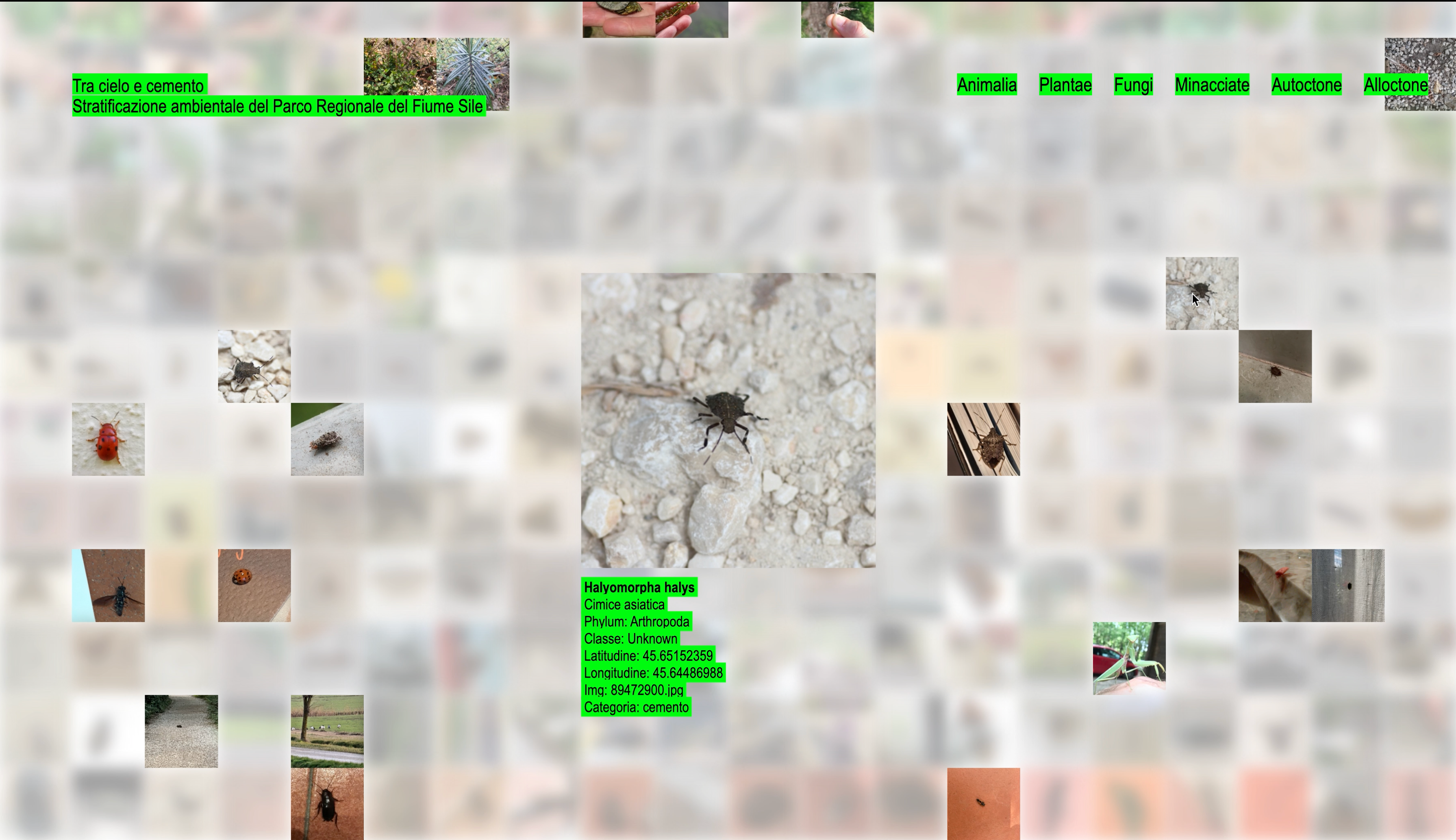 Project image 2