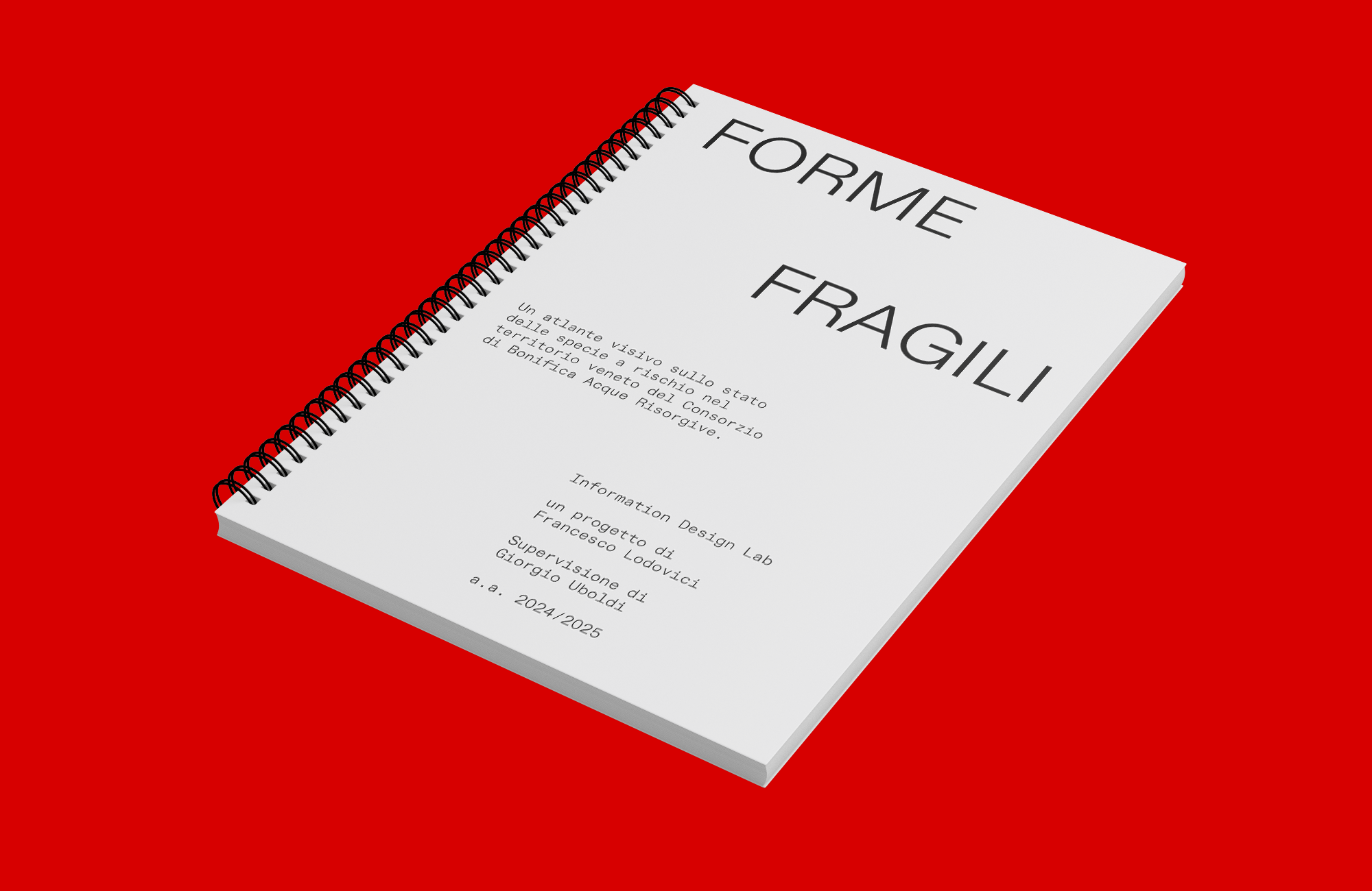 Project image 1