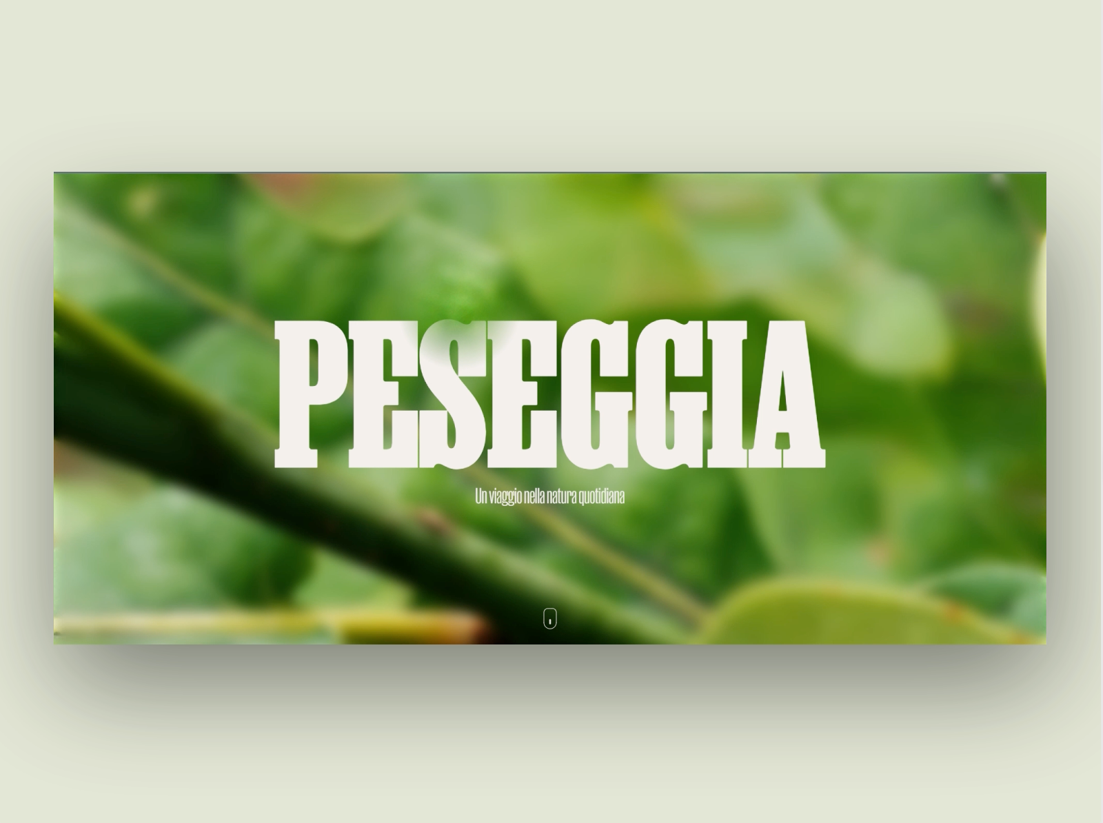 Project image 1