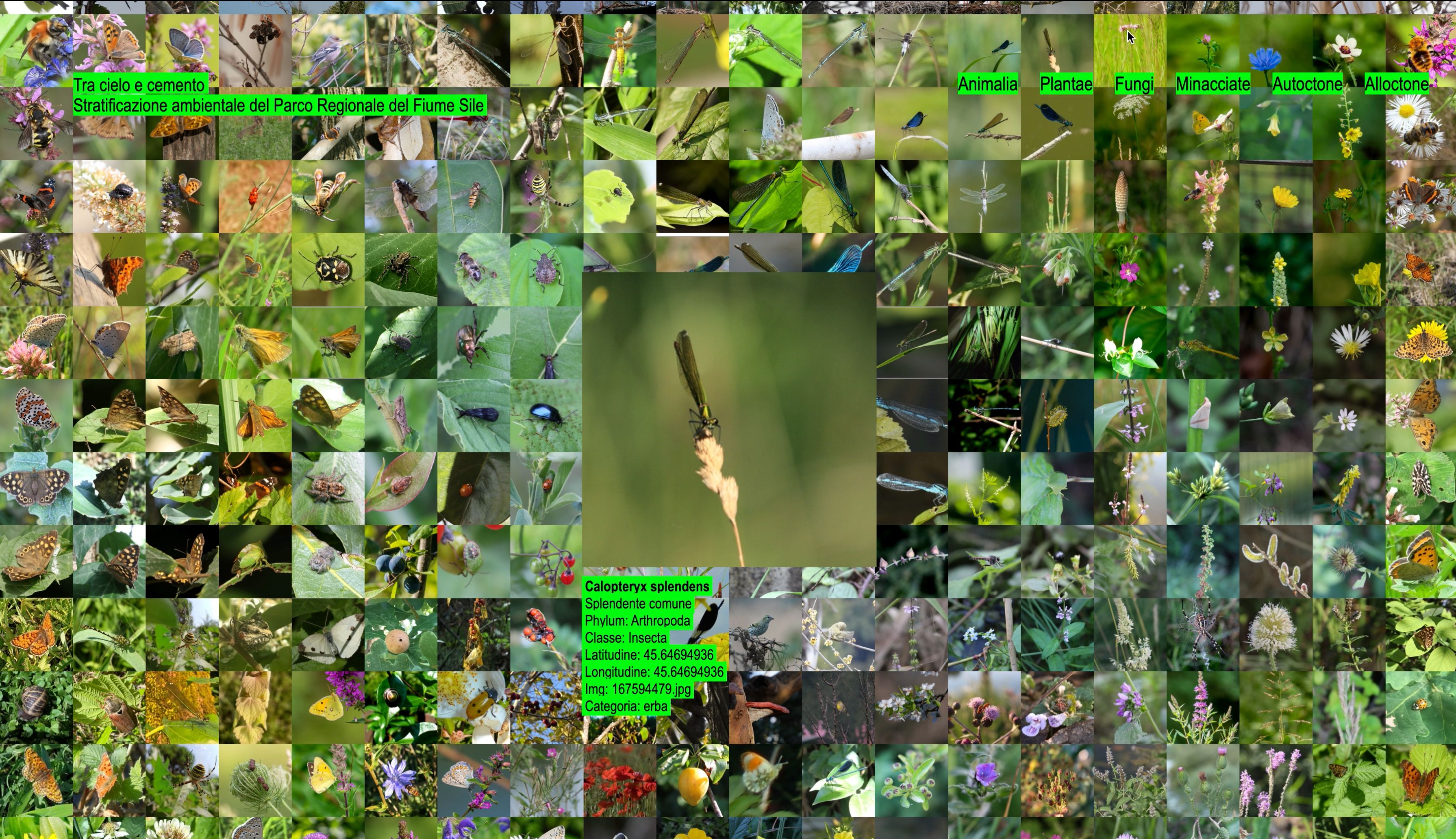 Project image 4