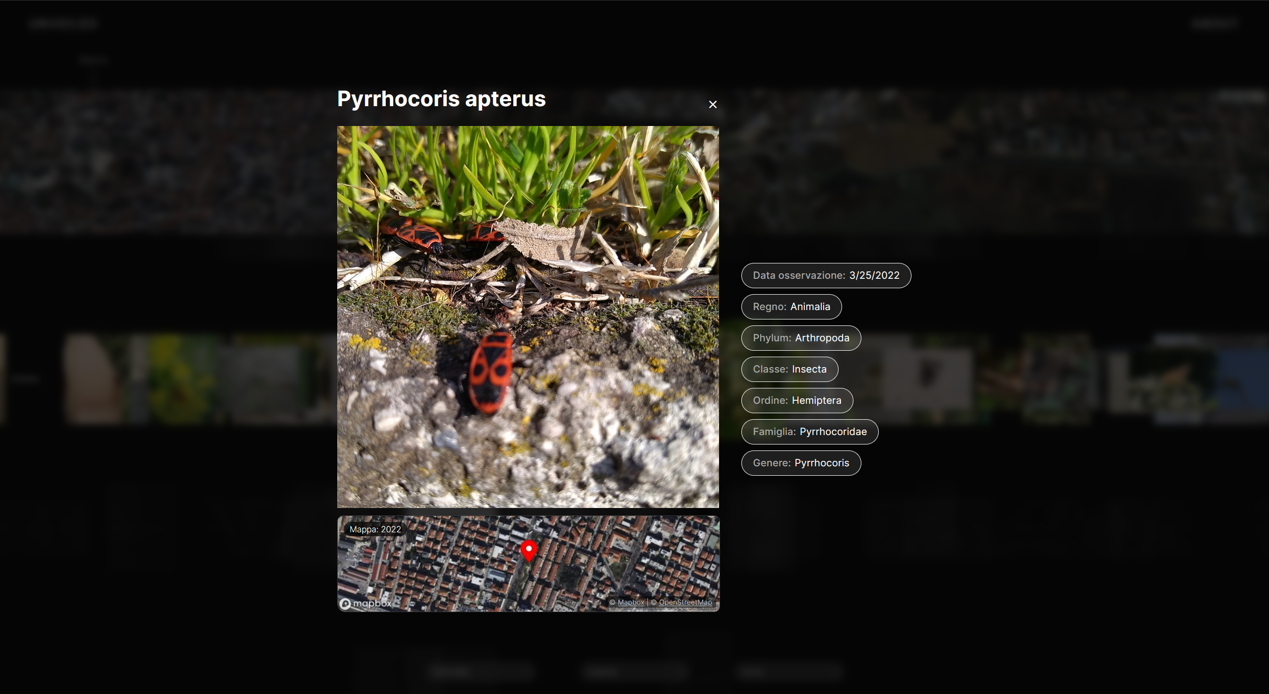 Project image 1
