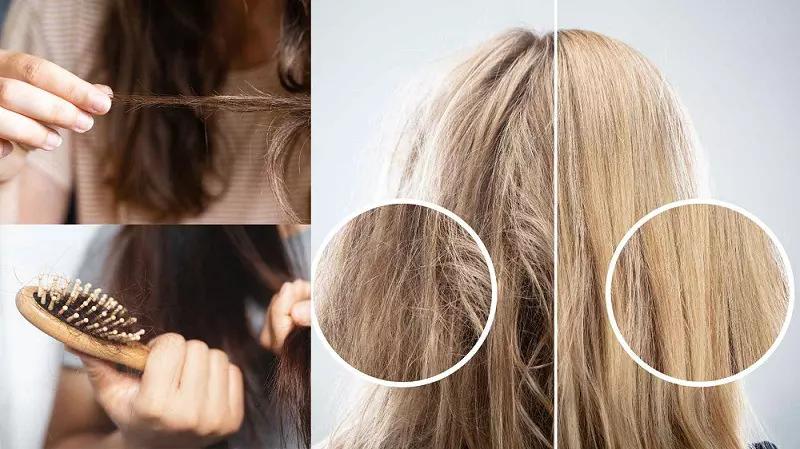 Ảnh bìa bài viết: 5 Dấu Hiệu Cho Thấy Tóc Bạn Đang Cần Phục Hồi Chuyên Sâu