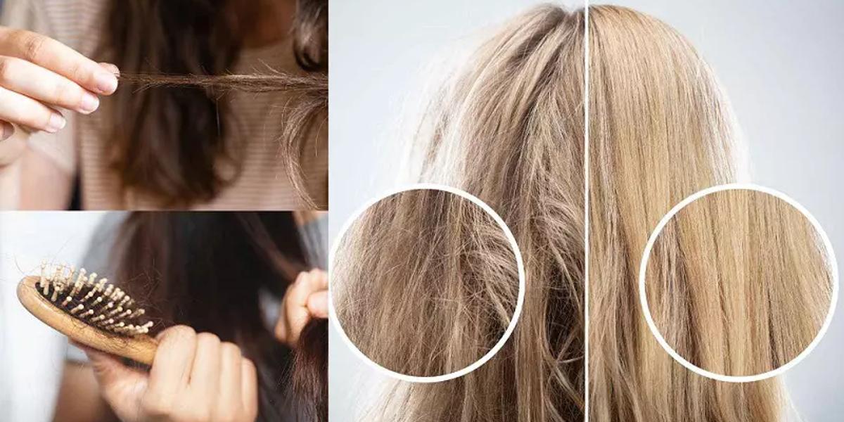 Ảnh bìa bài viết: 5 Dấu Hiệu Cho Thấy Tóc Bạn Đang Cần Phục Hồi Chuyên Sâu