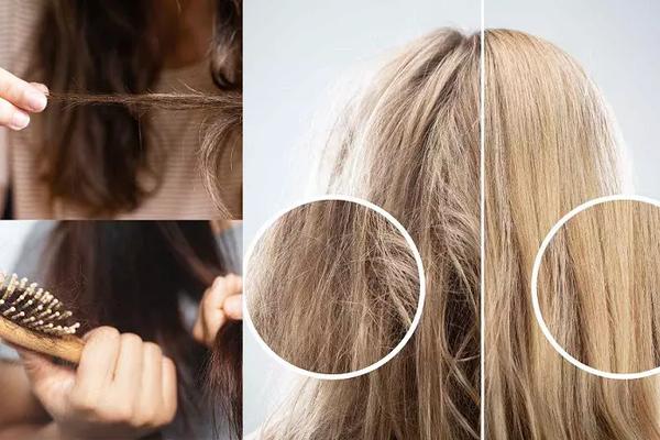 Ảnh bìa bài viết: 5 Dấu Hiệu Cho Thấy Tóc Bạn Đang Cần Phục Hồi Chuyên Sâu