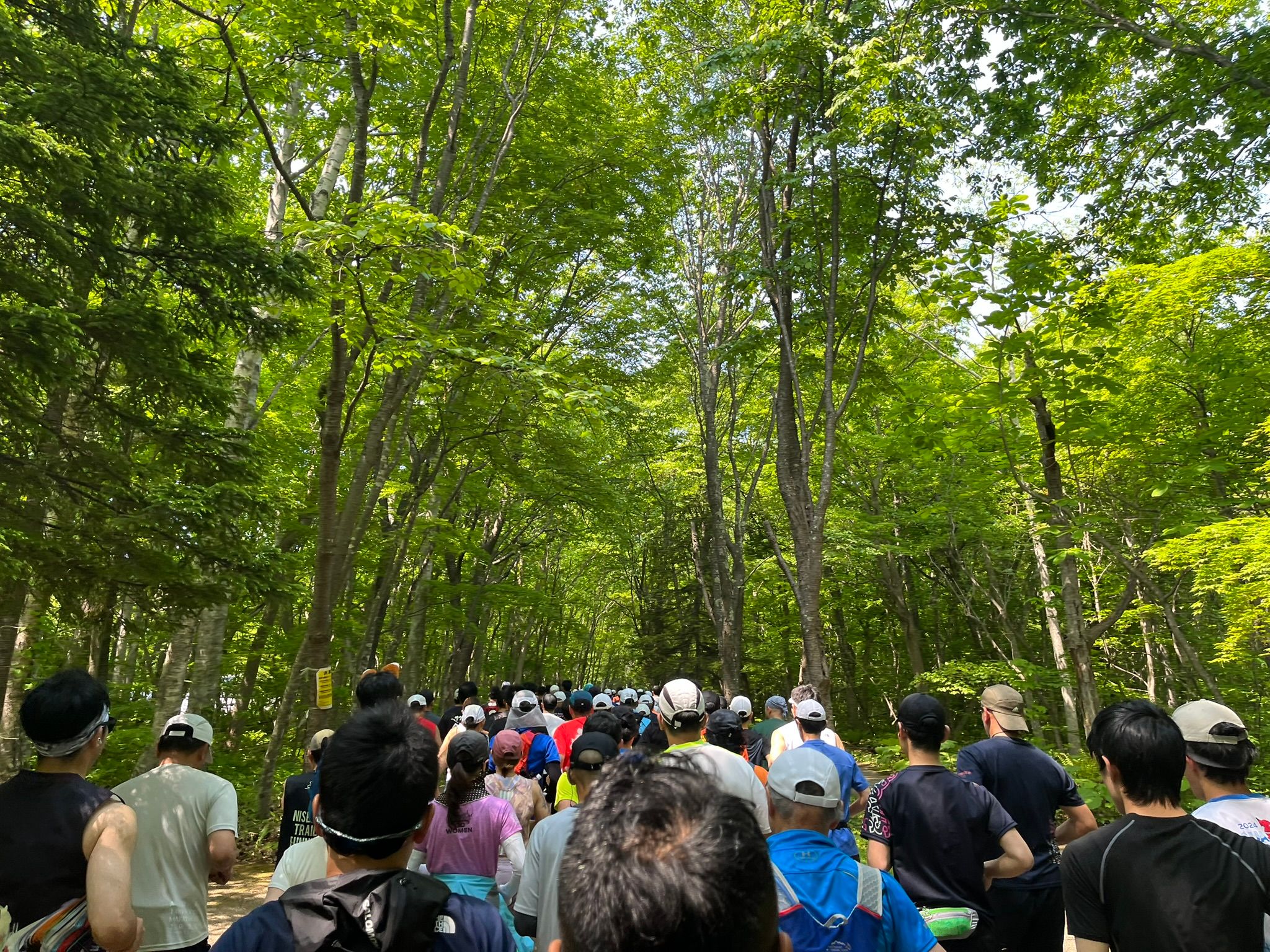 緑の多い中走る楽しいレース