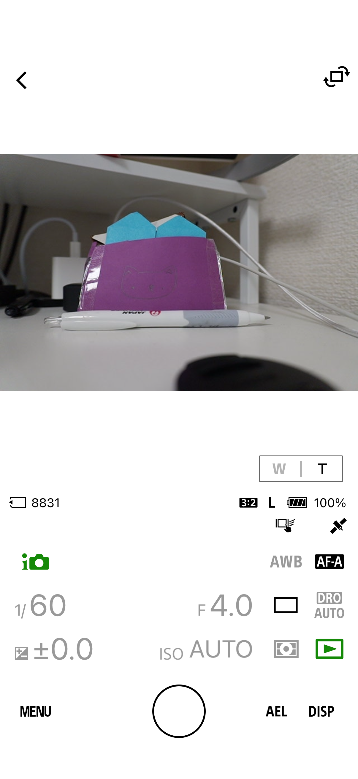 オンにすると右側中央あたりに衛星のアイコンが