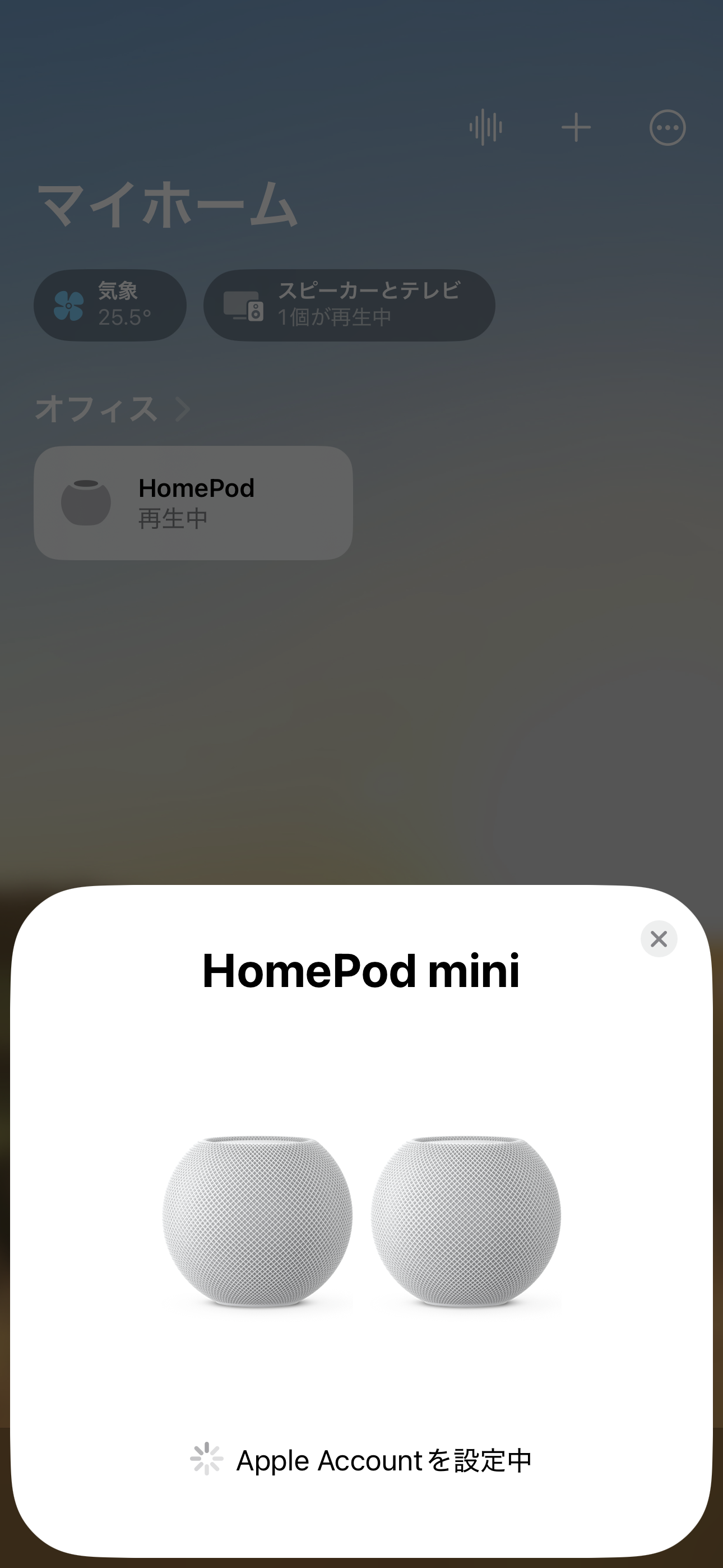 アカウントを設定中