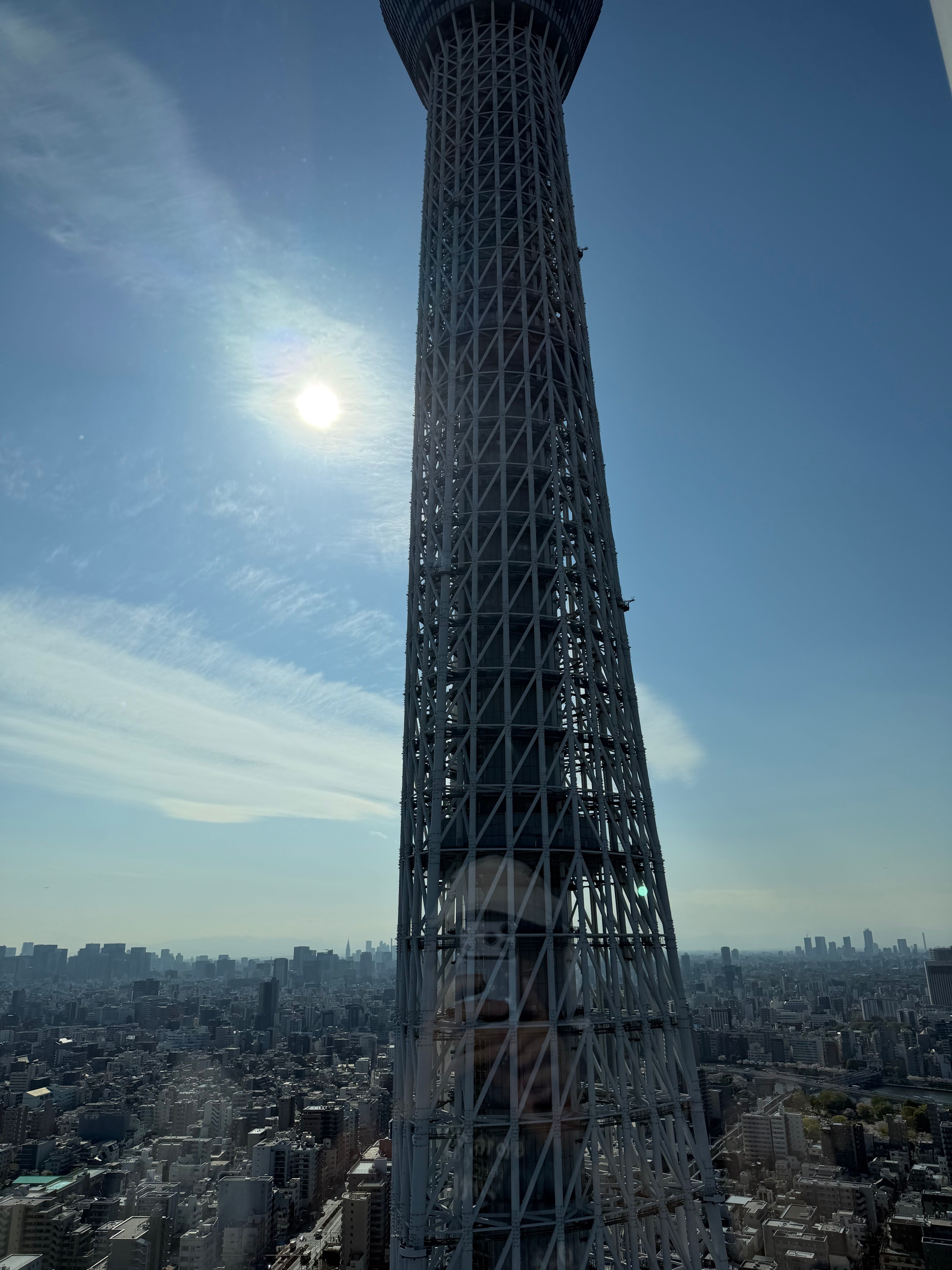 スカイツリーを観ながら