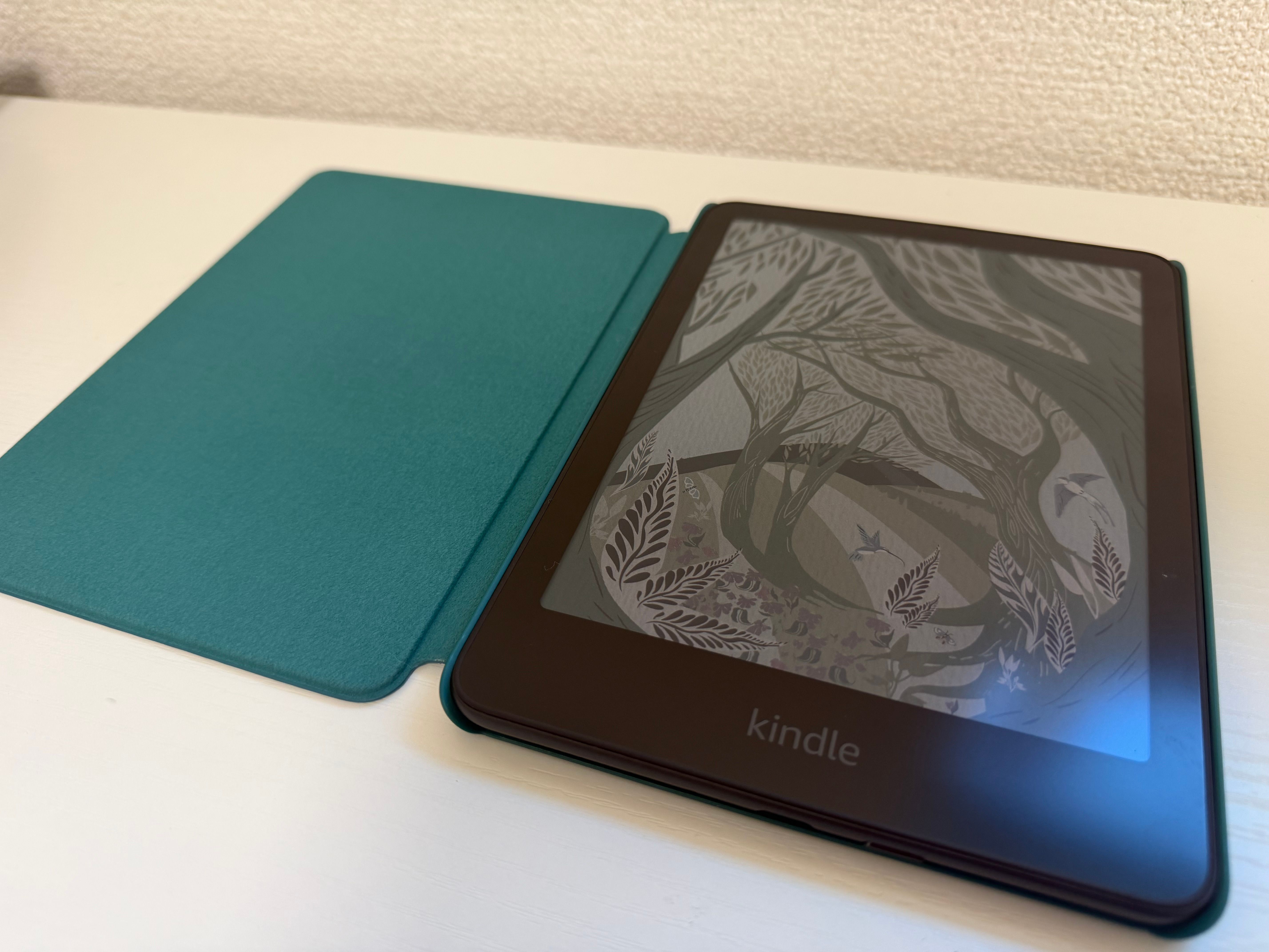 Kindle Colorsoft