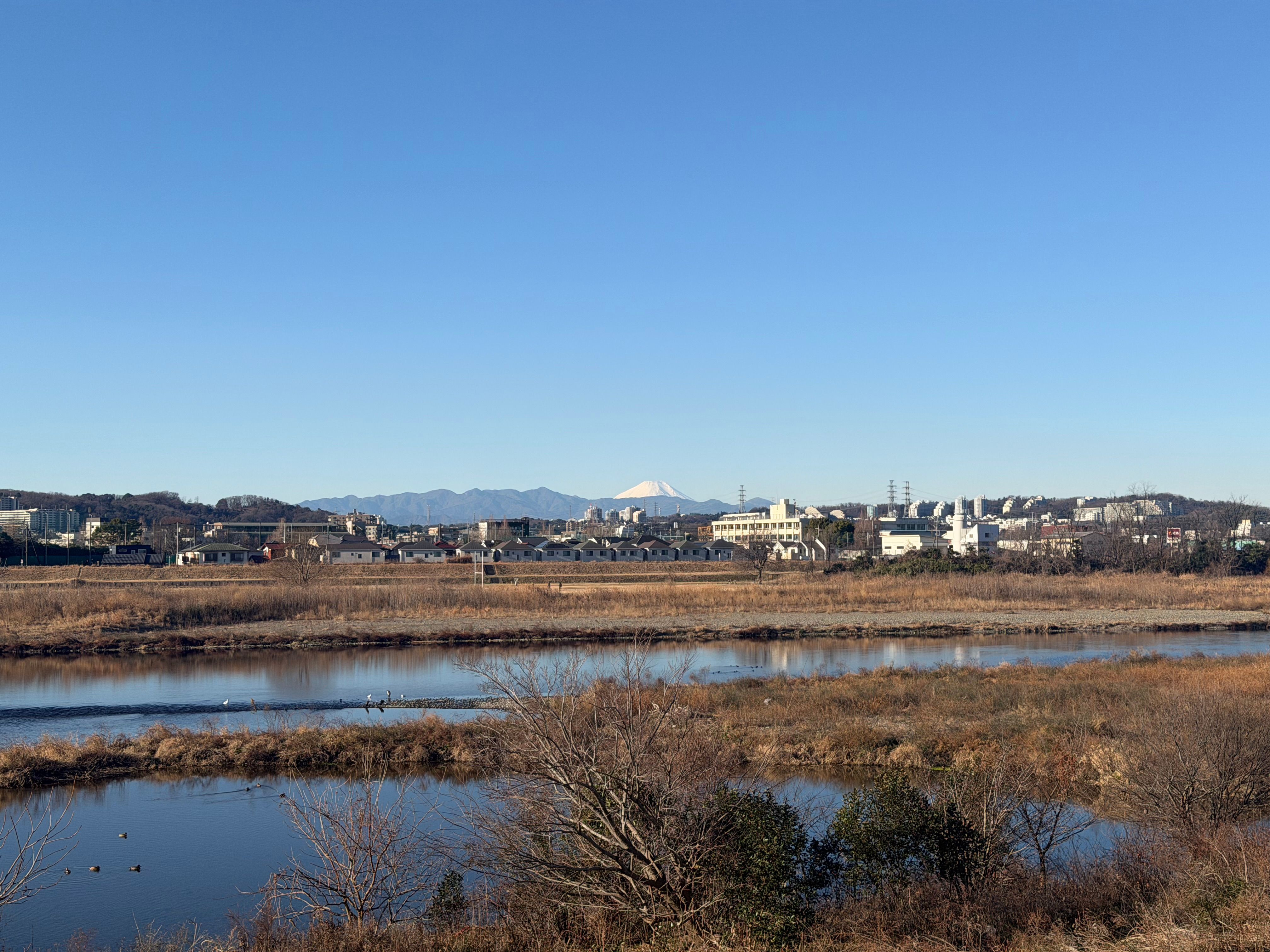 メインカメラ 24 mm - ISO64 48 mm ƒ1.78 1/6024s - 4032 × 3024