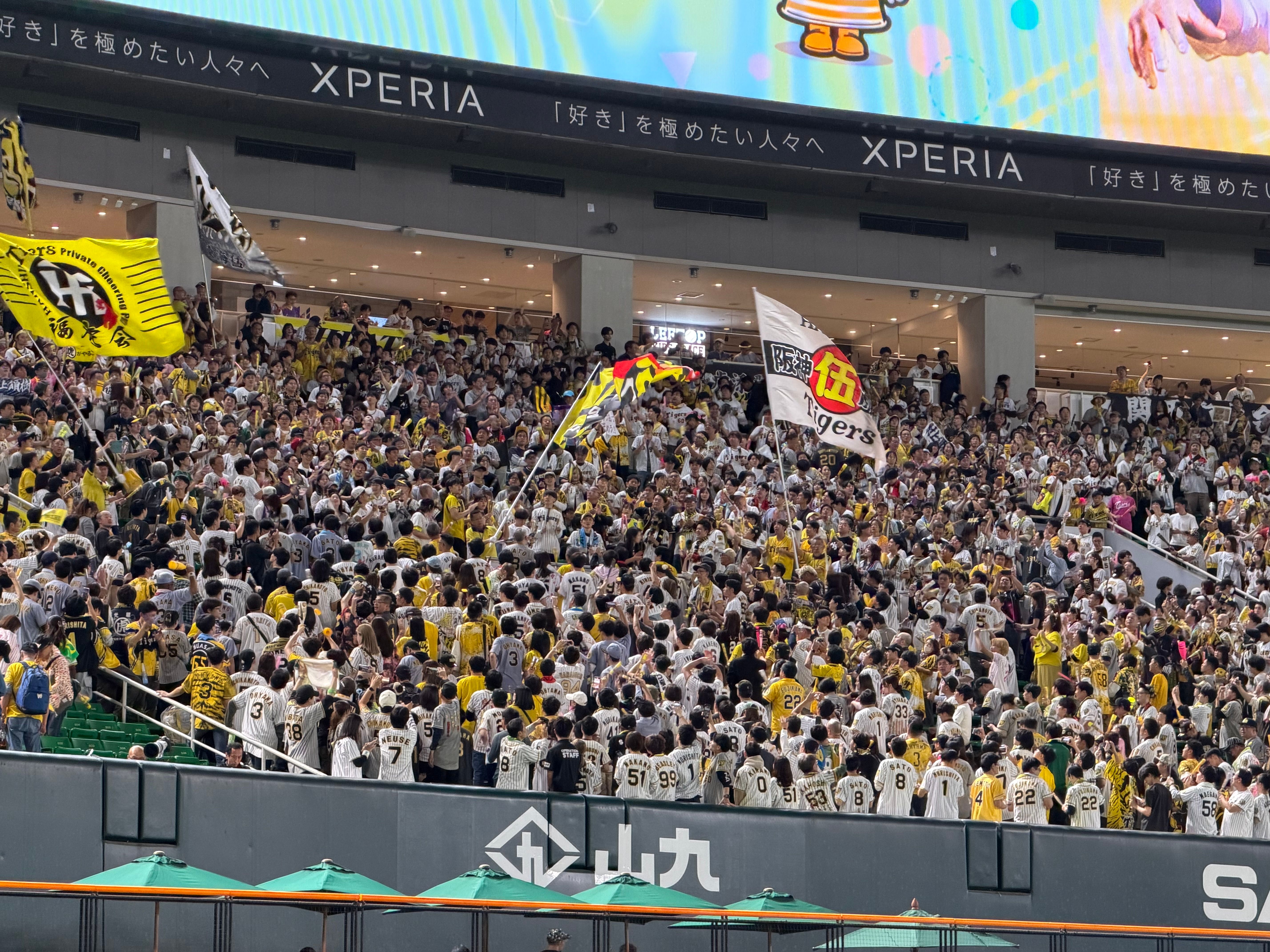 外野席はめちゃ盛り上がる