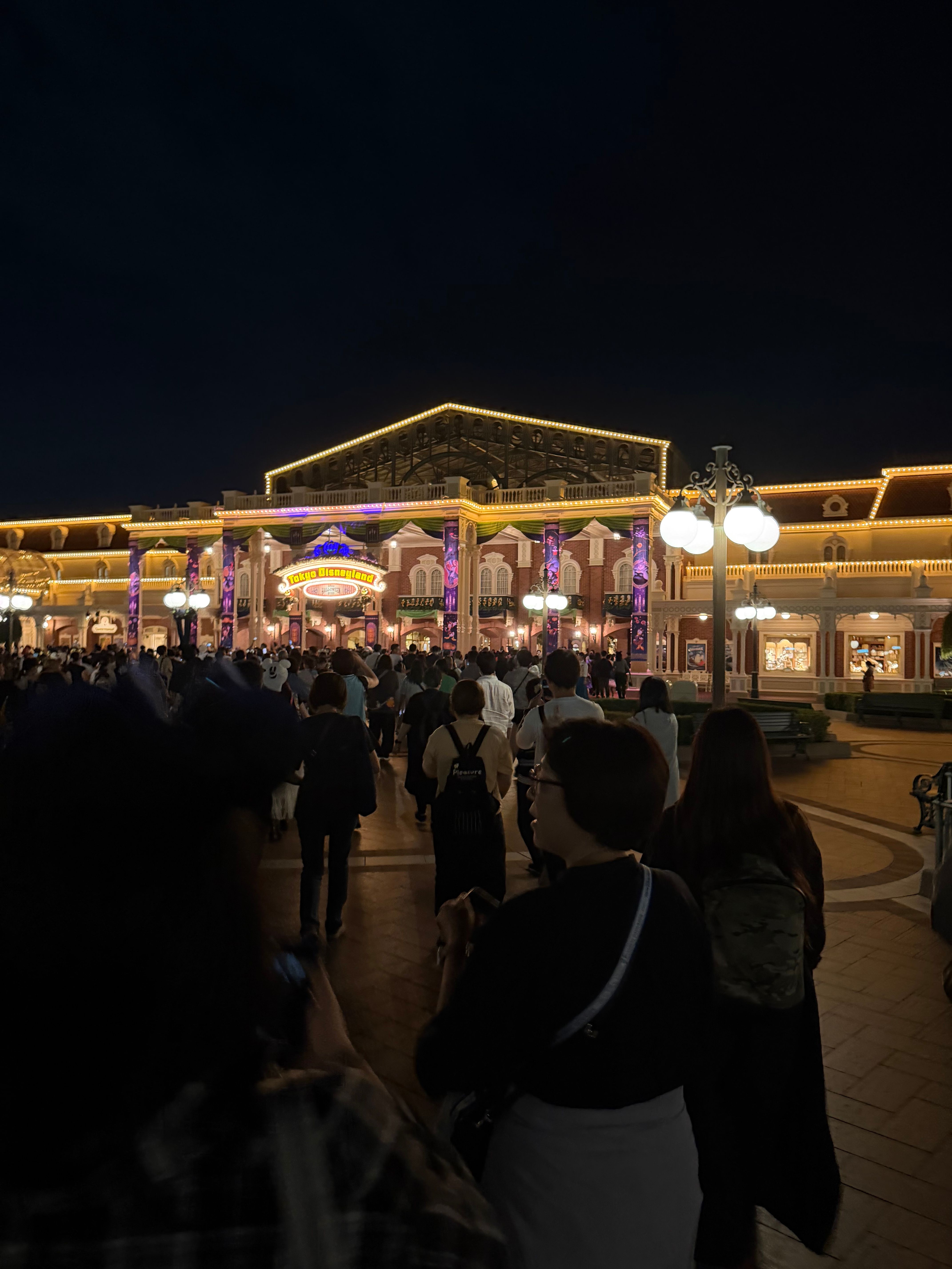 夜のディズニーランドは綺麗です