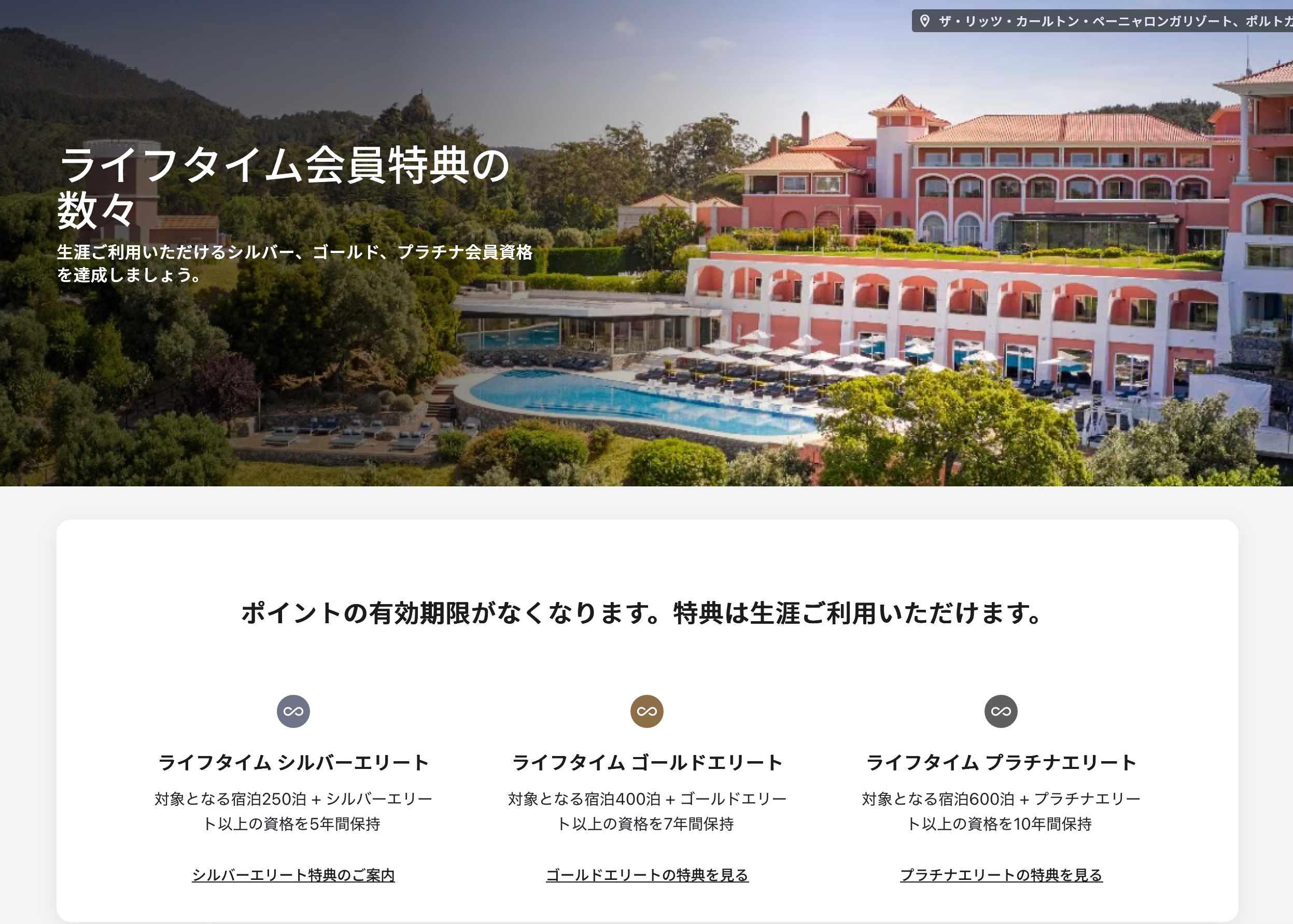 ライフタイムプラチナ