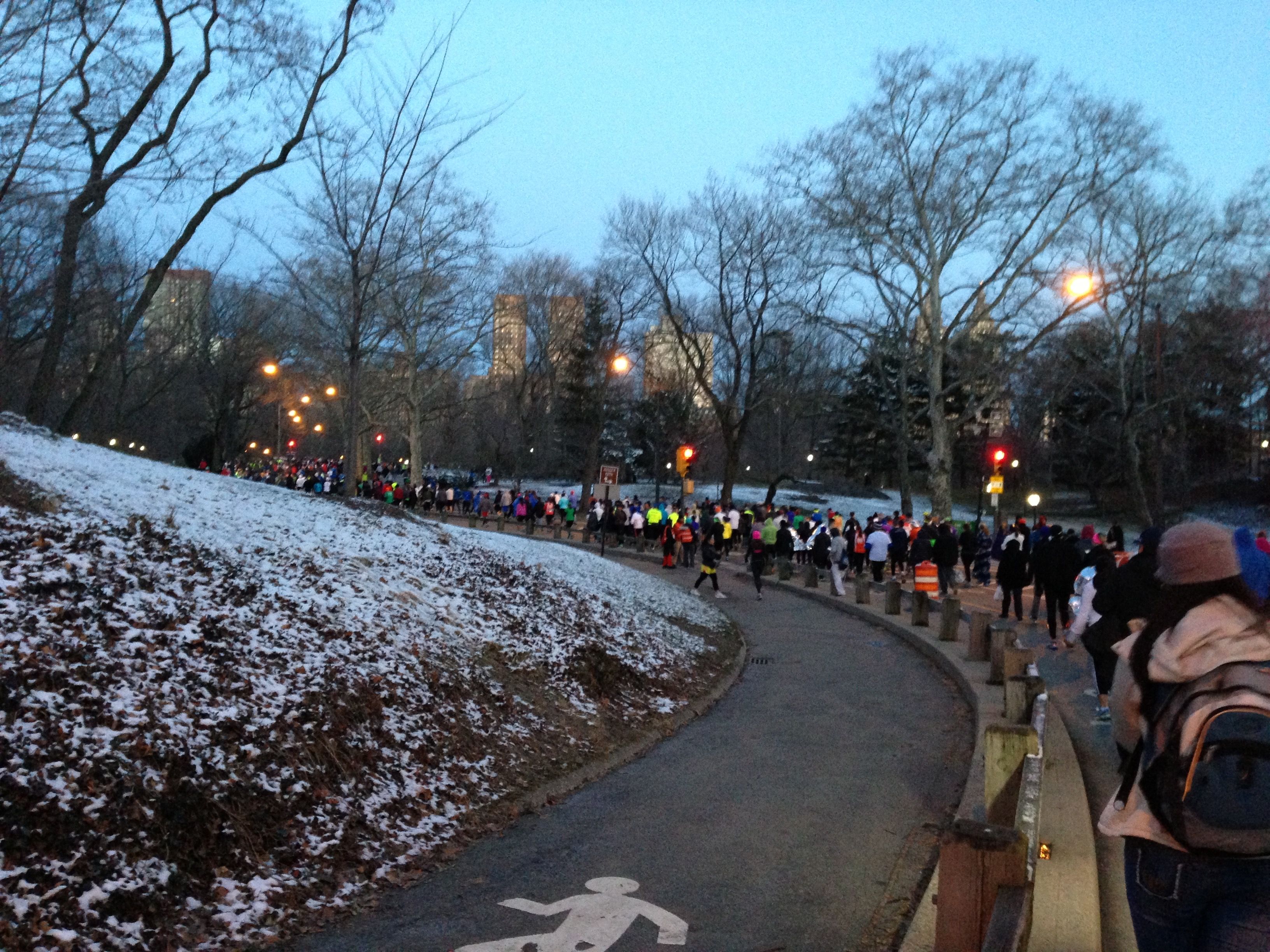 公園は雪が積もっている