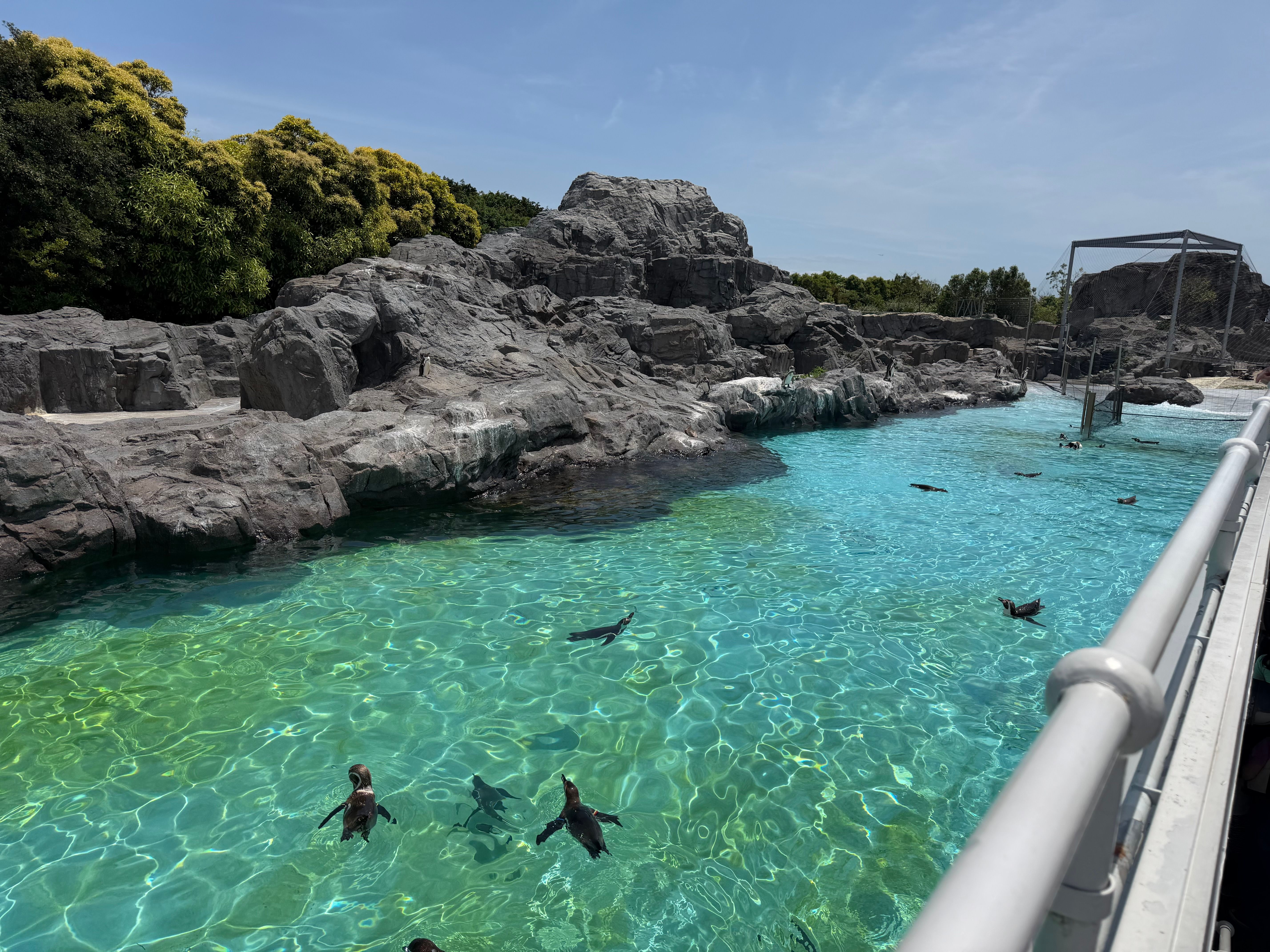 思ったよりも広いペンギンの水槽