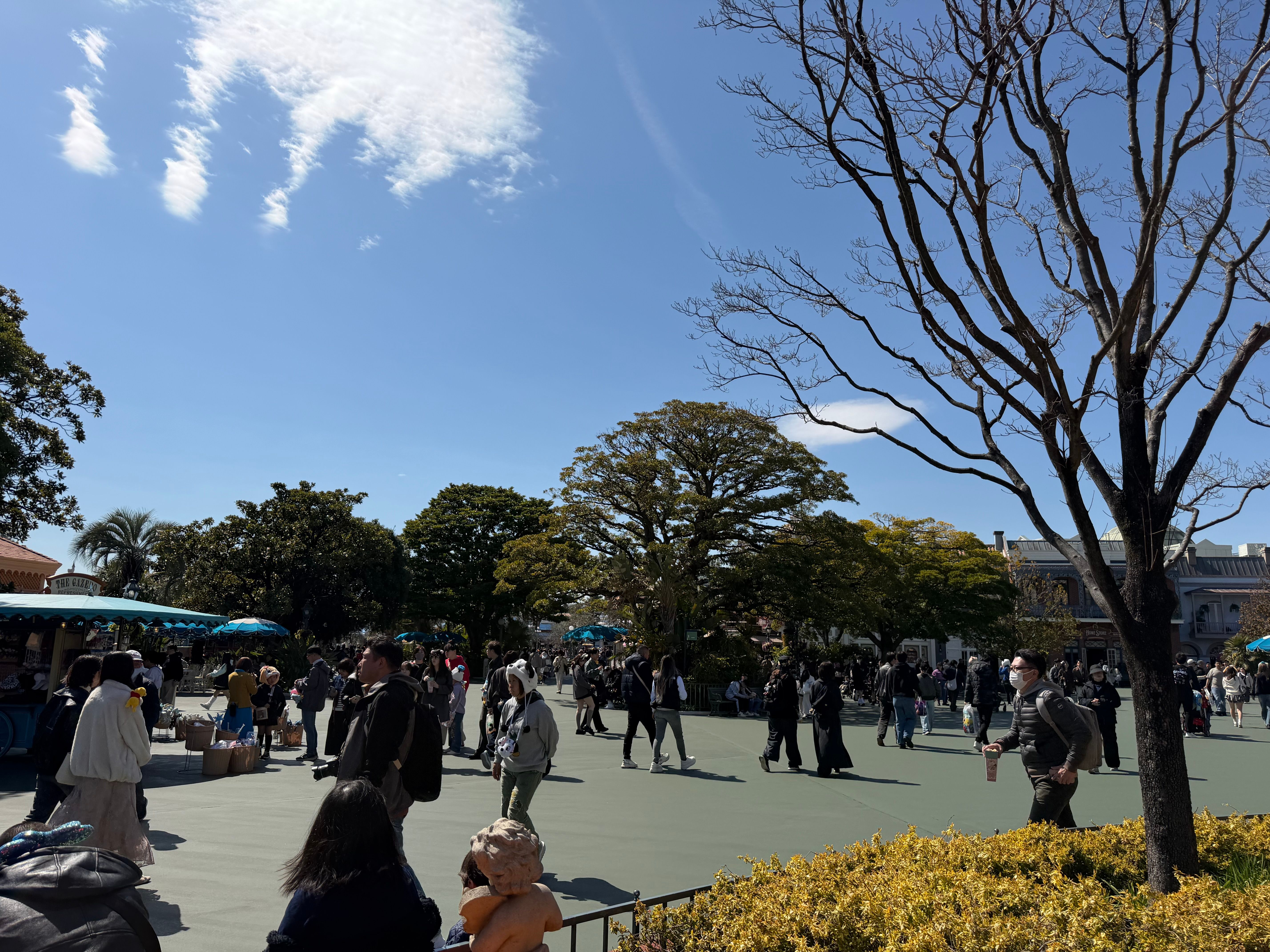 カフェ・オーリンズからの写真