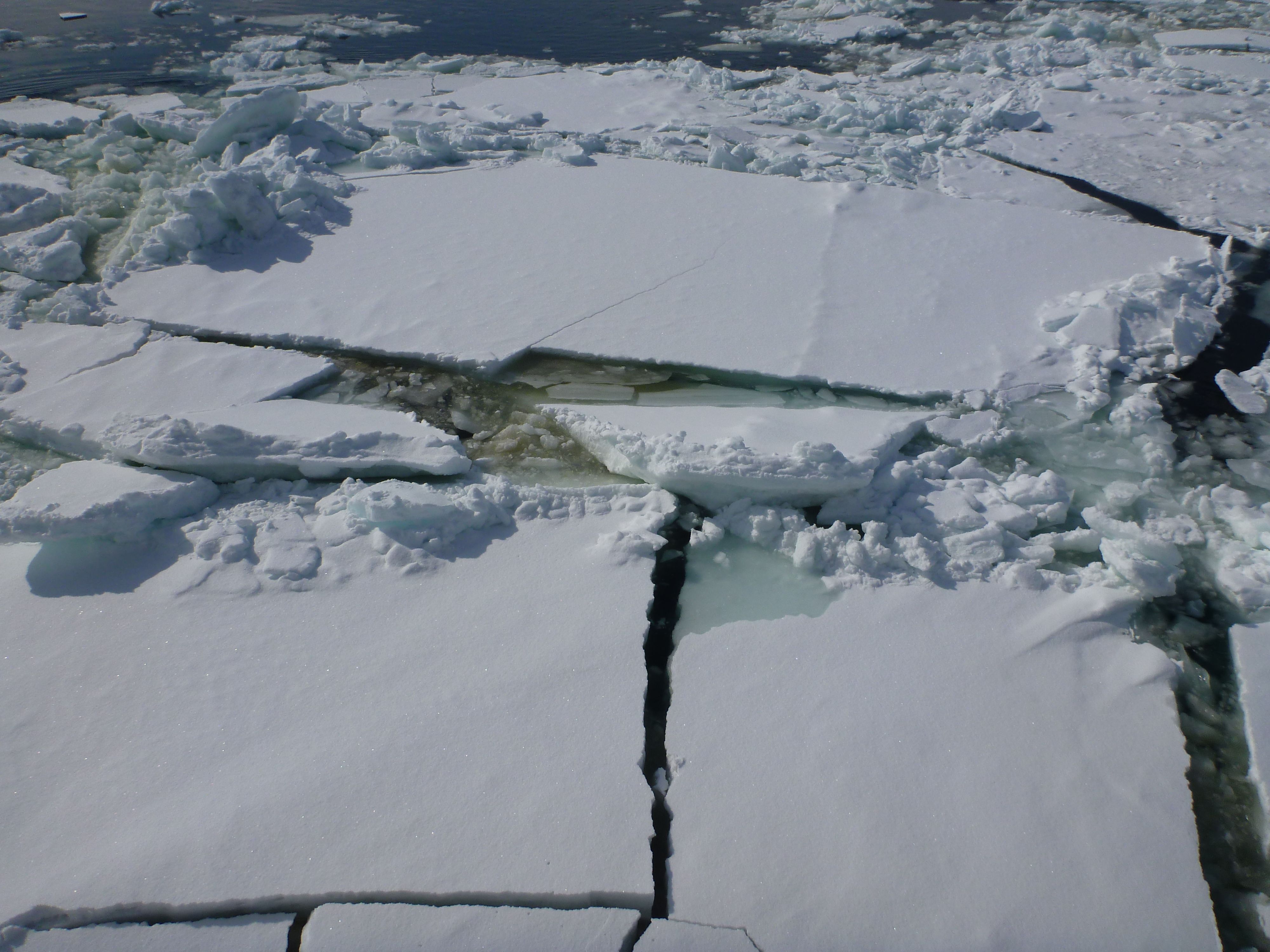 バキバキ割れています