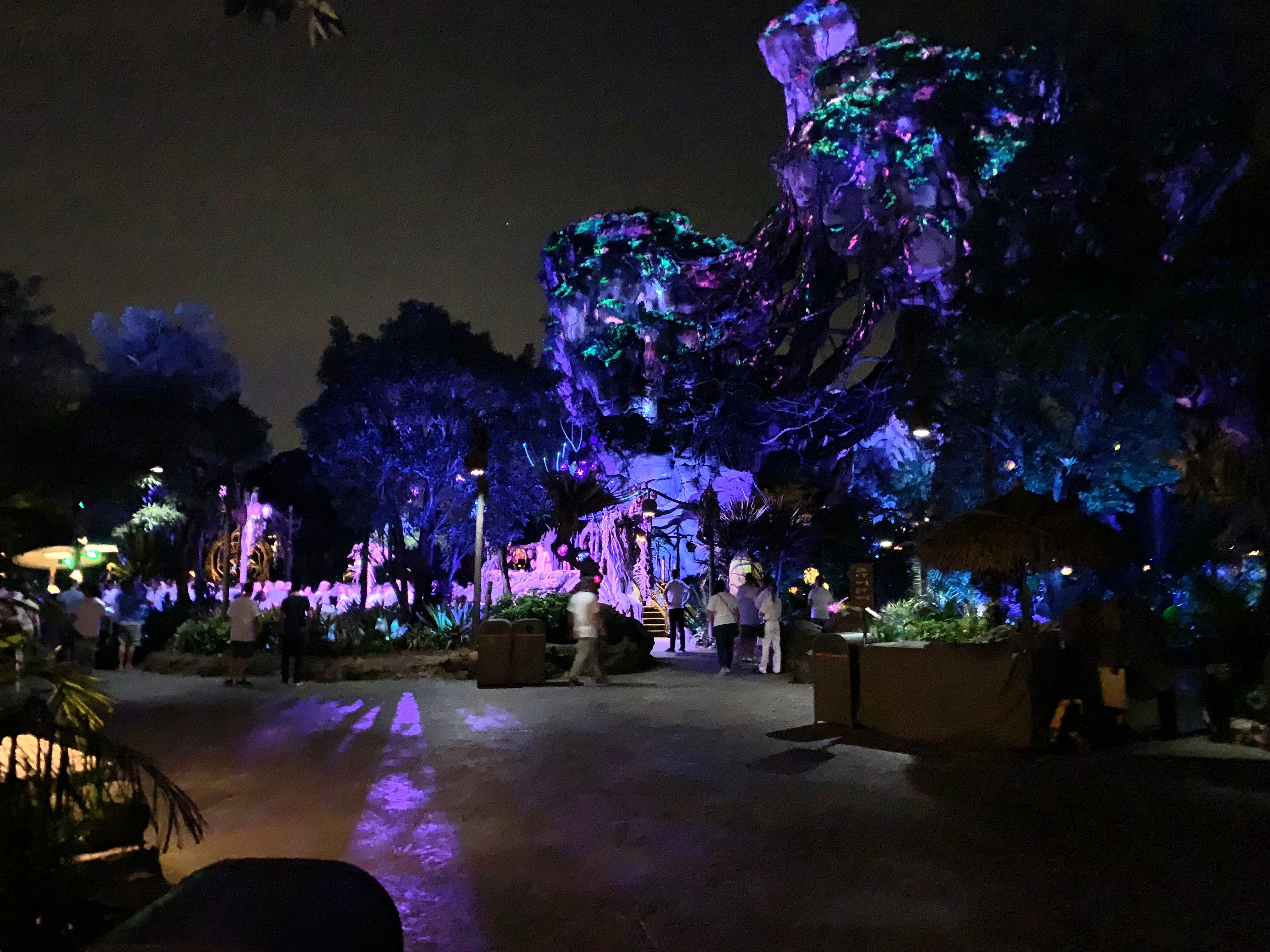 フロリダのディズニーで衛星パンドラを体験