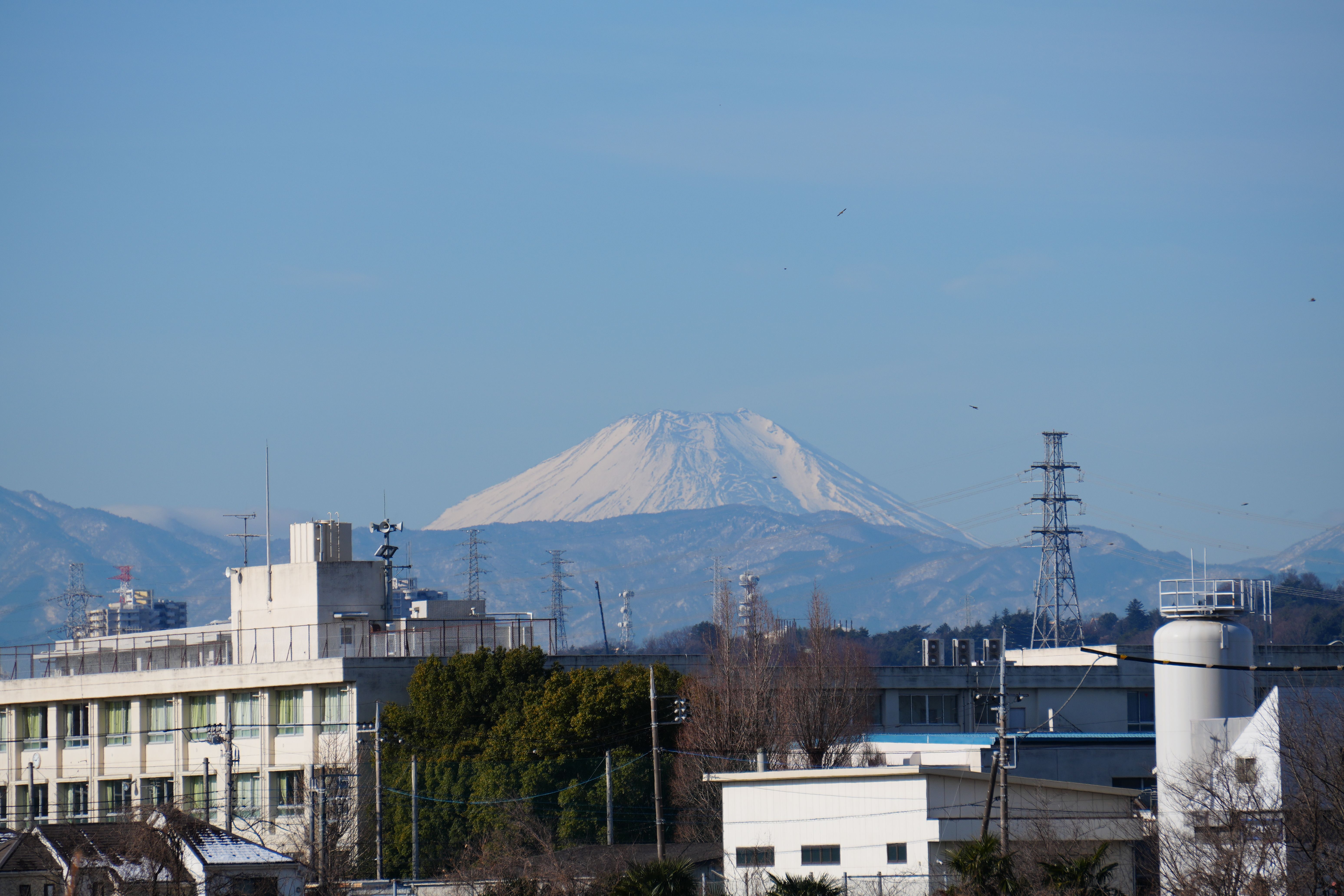 E 55-210mm F4.5-6.3 OSS - ISO 100 315 mm ƒ8 1/500s - 6192 × 4128