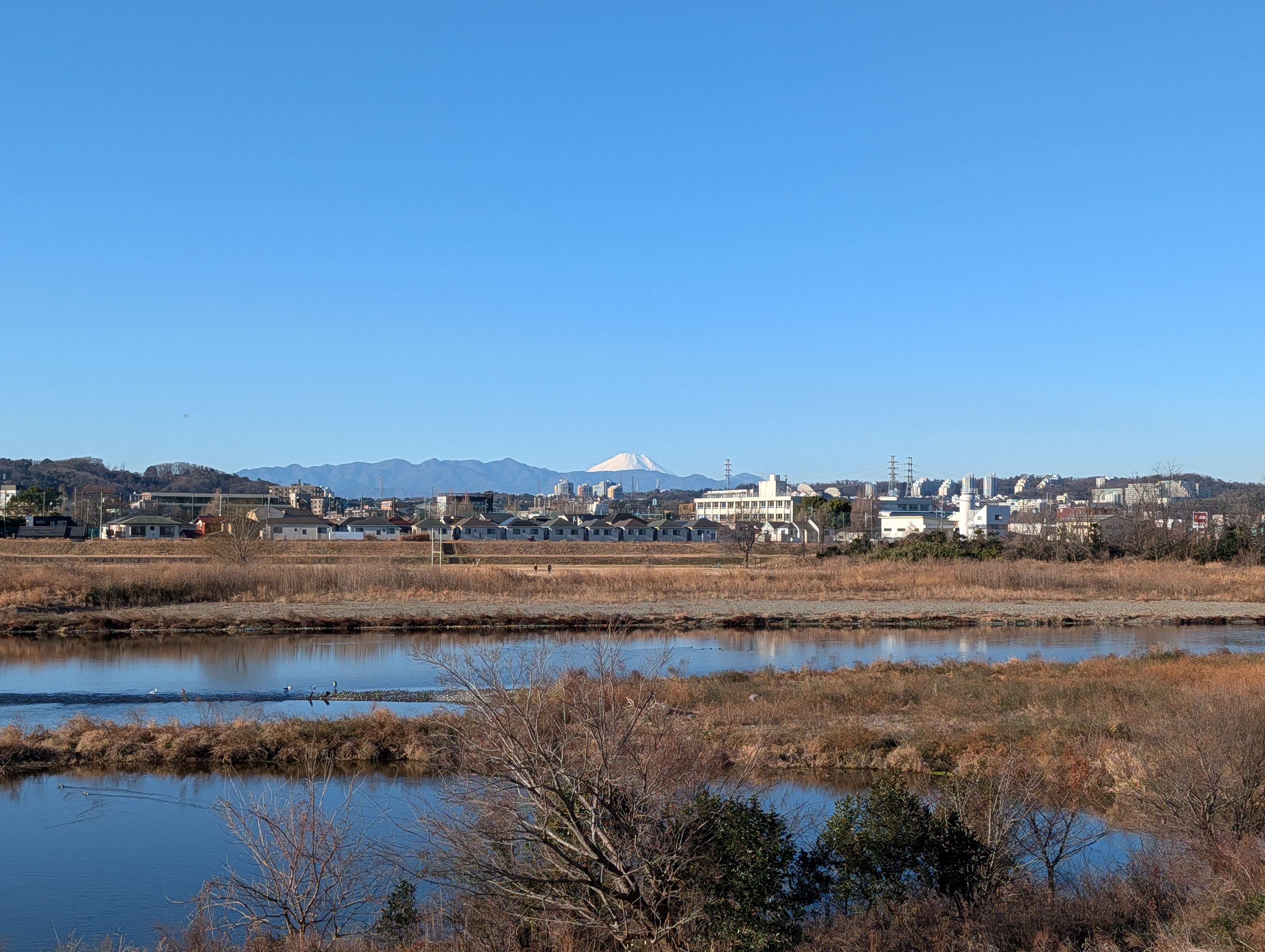 back camera 6.9mm - ISO 19 24 mm ƒ1.68 1/1408s - 4080 × 3072