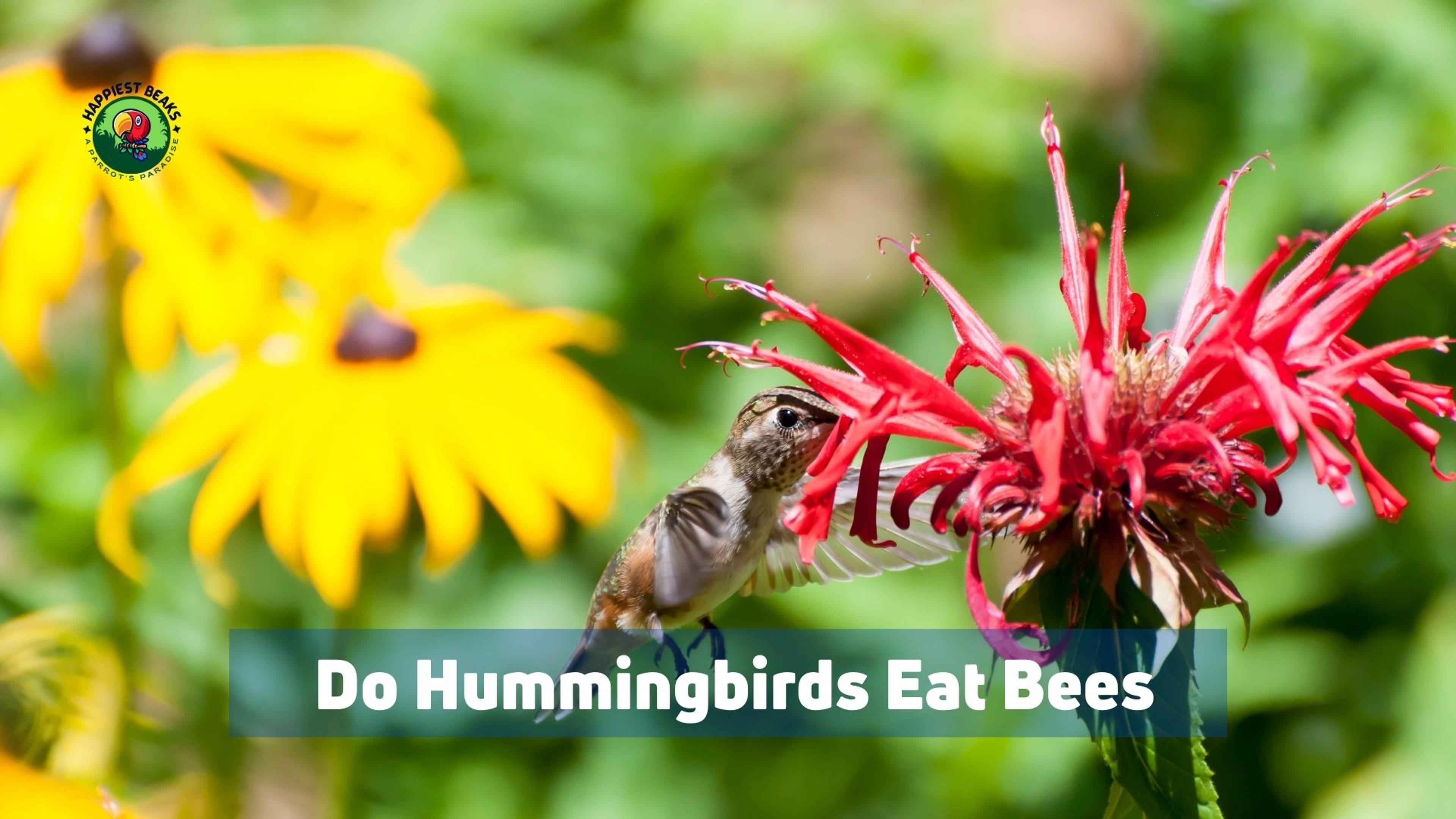 Do Hummingbirds Eat Bees