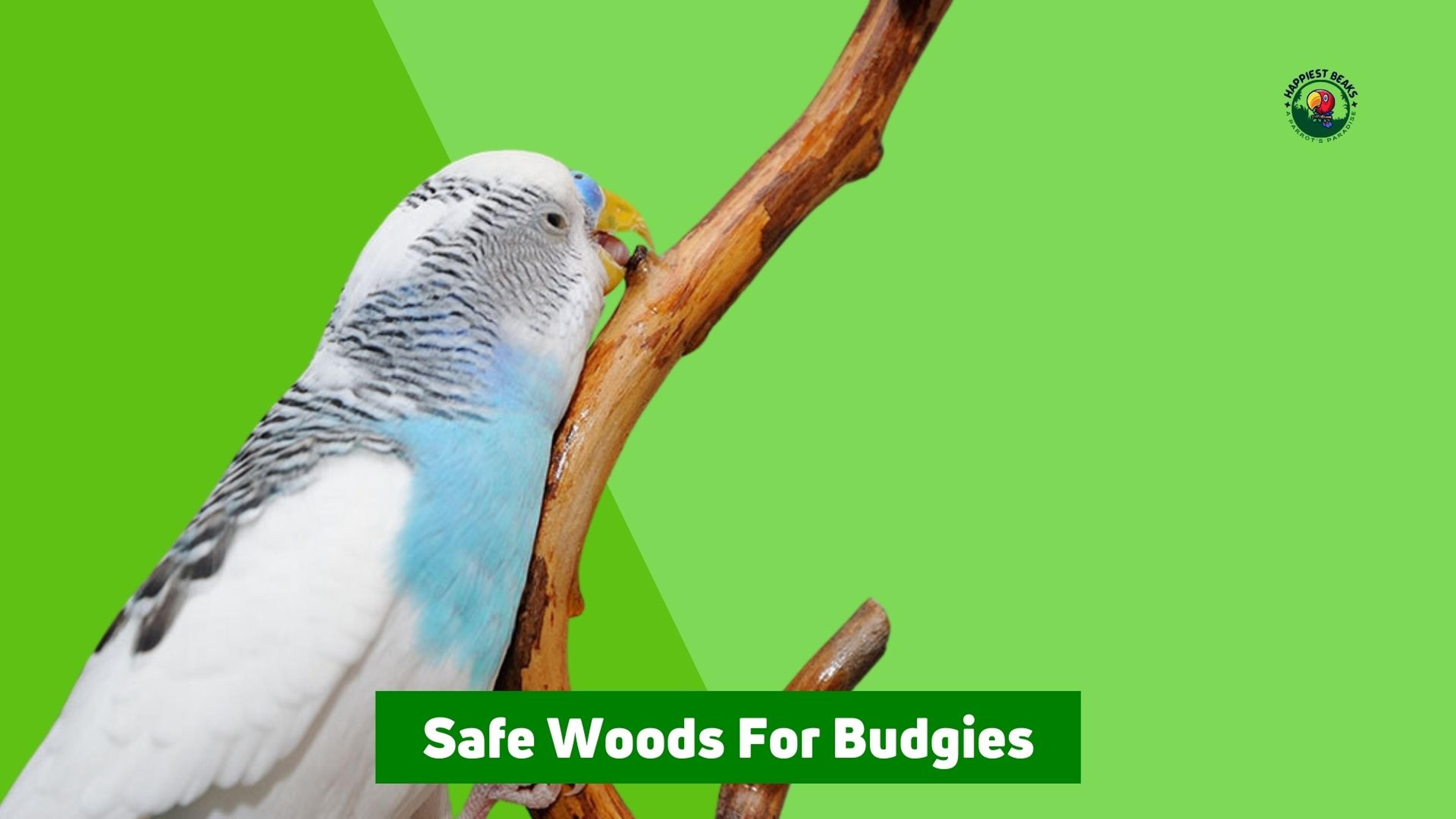 Safe Woods for Budgies