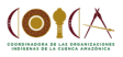 COICA (Organization of the indigenous peoples of the Amazon Basin) Logo