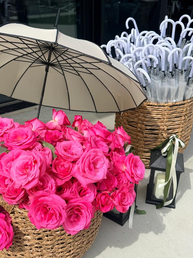 Clear Rain Umbrellas