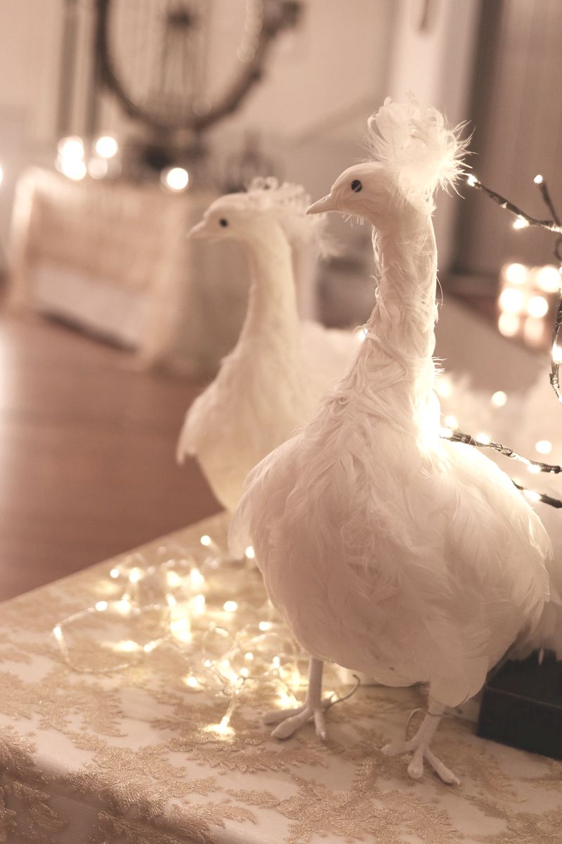White Peacock Decor