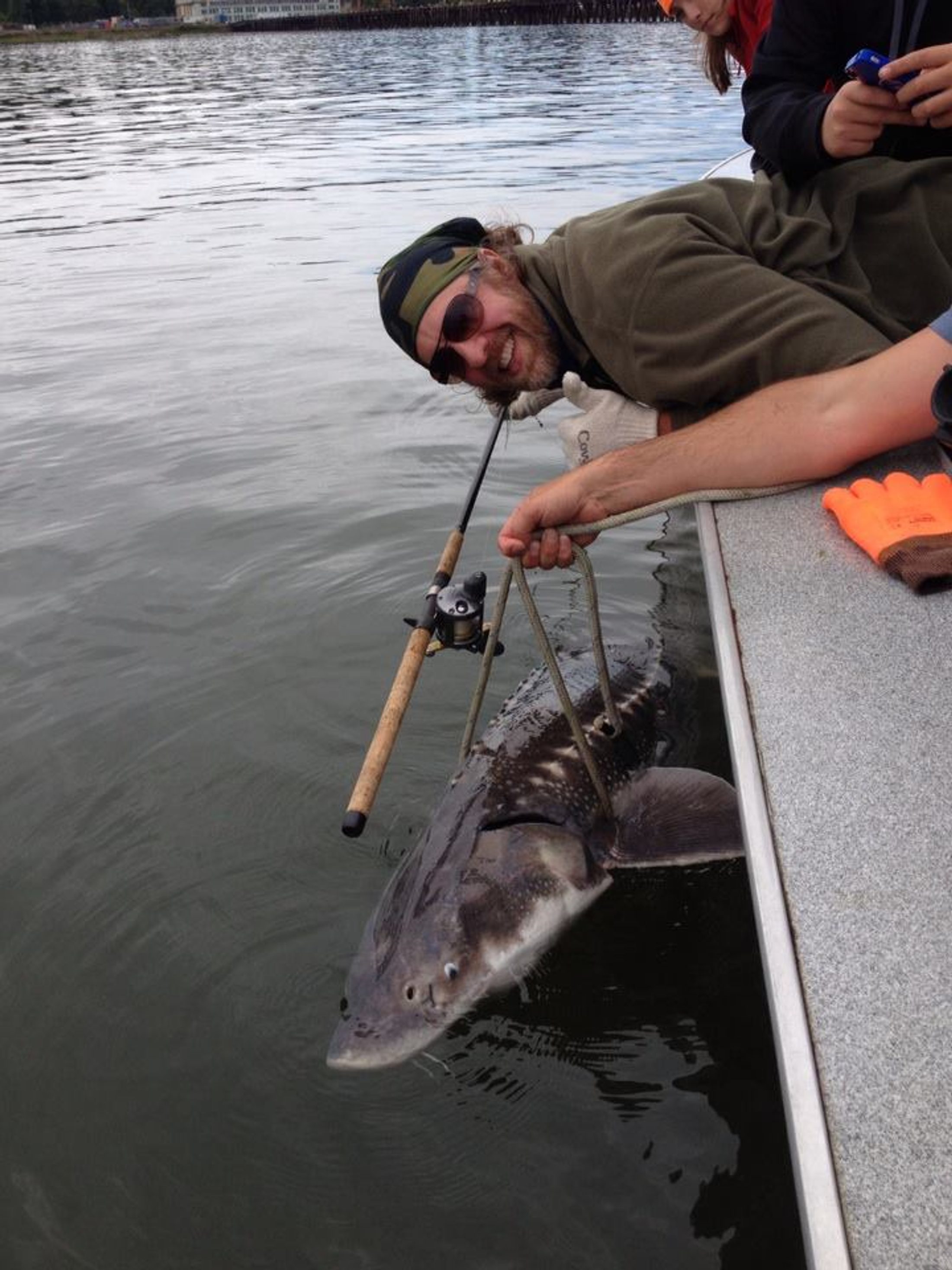 corysturgeon