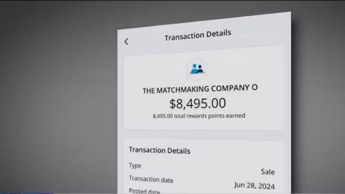 People are paying thousands for matchmaking services