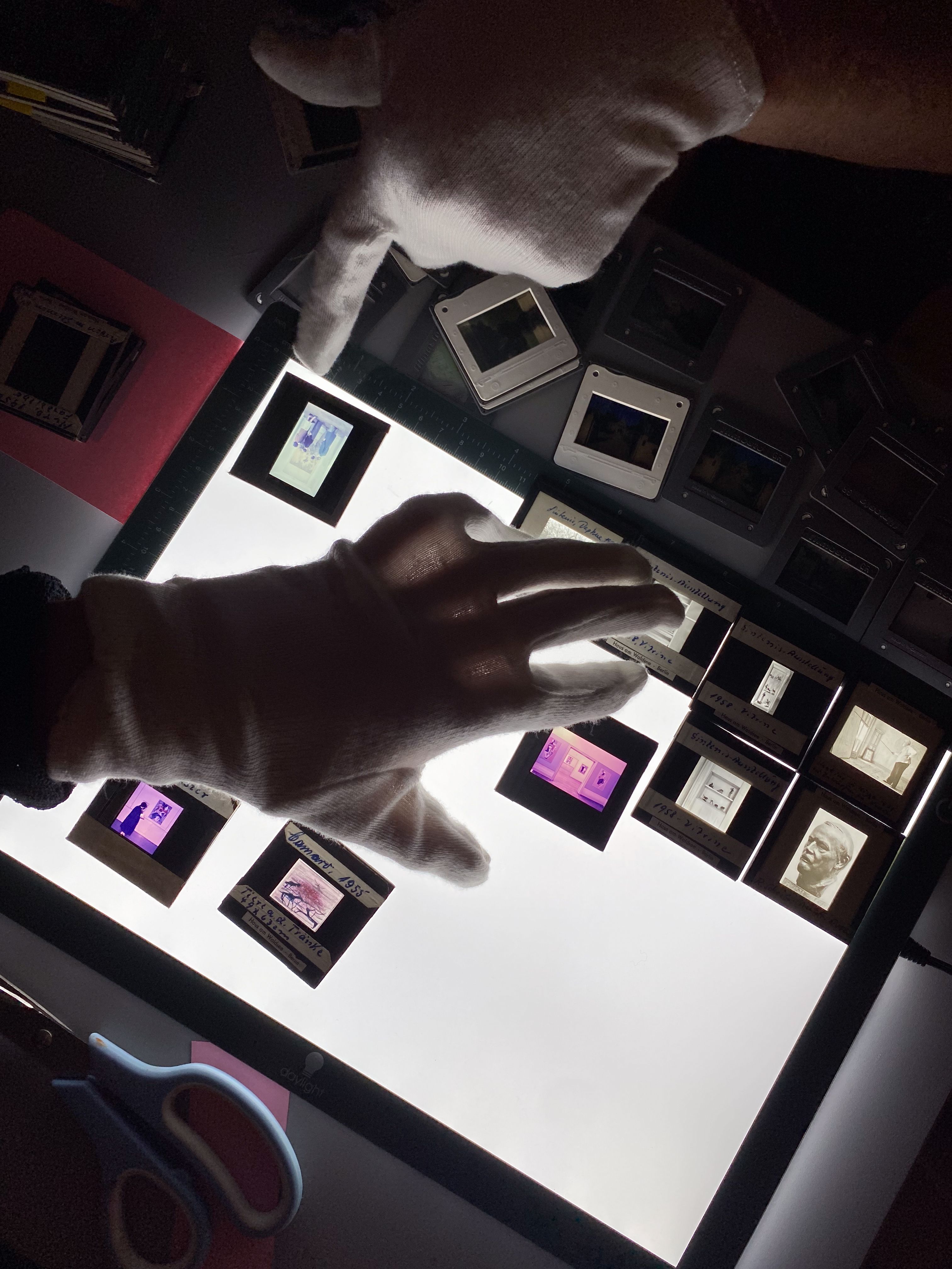 Wo Ich Wohne: Summerschool