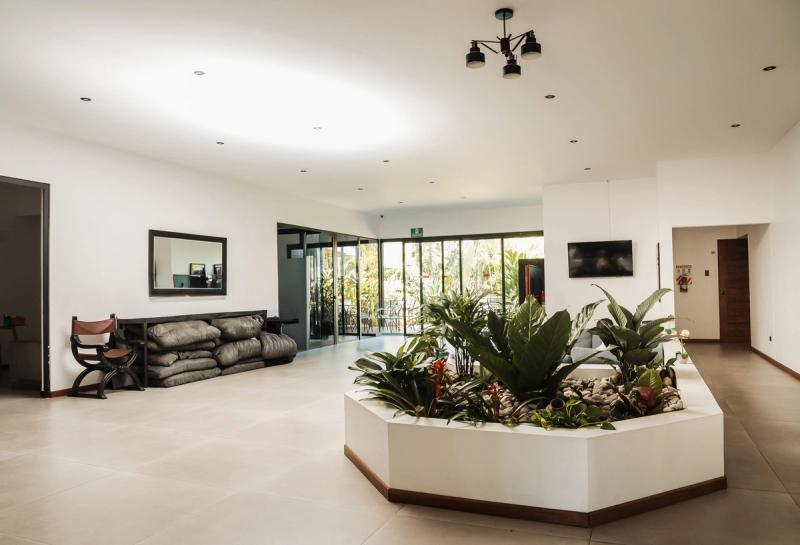 El vestíbulo de San José: una jardinera con plantas tropicales en medio de una sala luminosa con piso de baldosa.