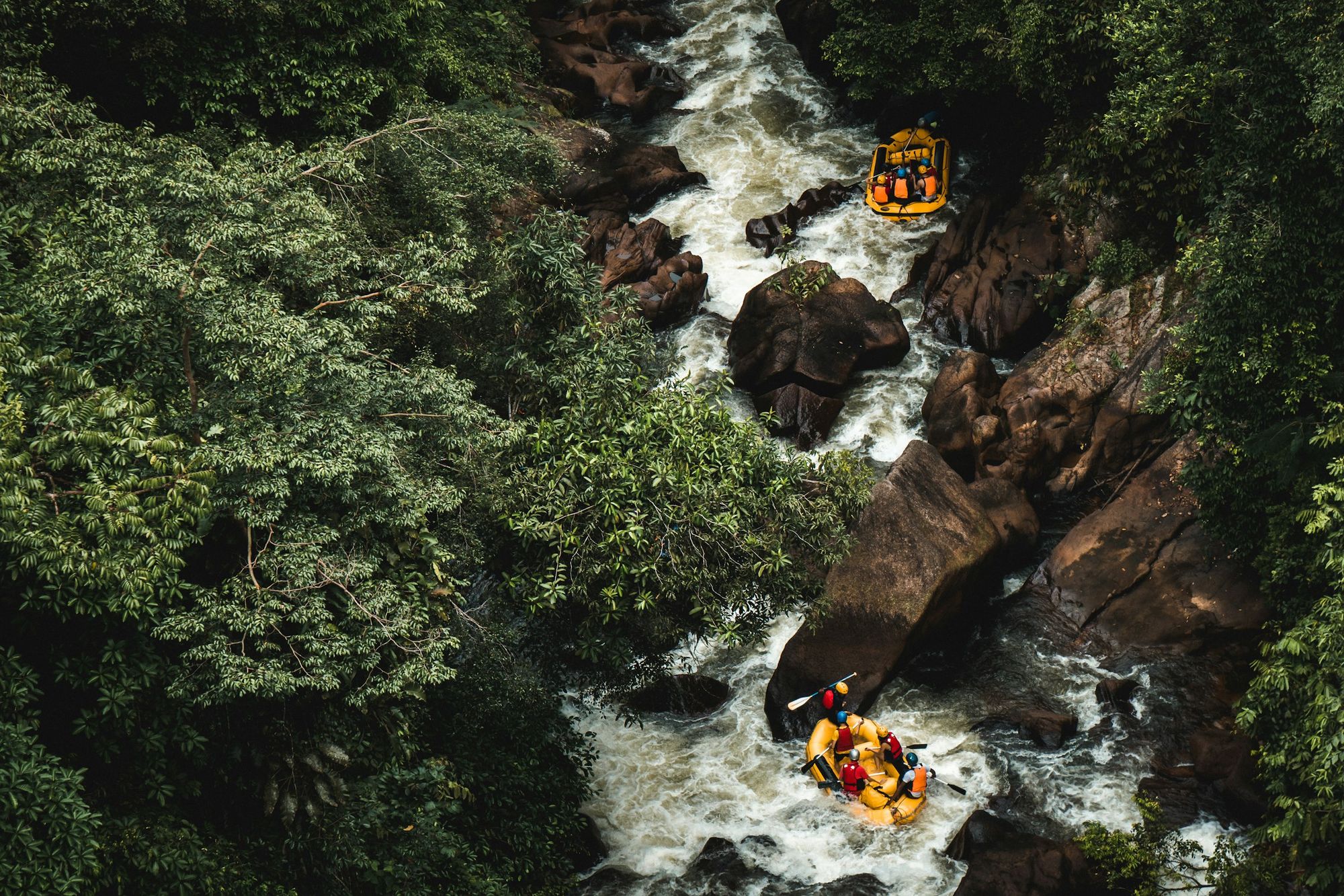 Aerial view of two rafts running white-water rapids through dense rainforest