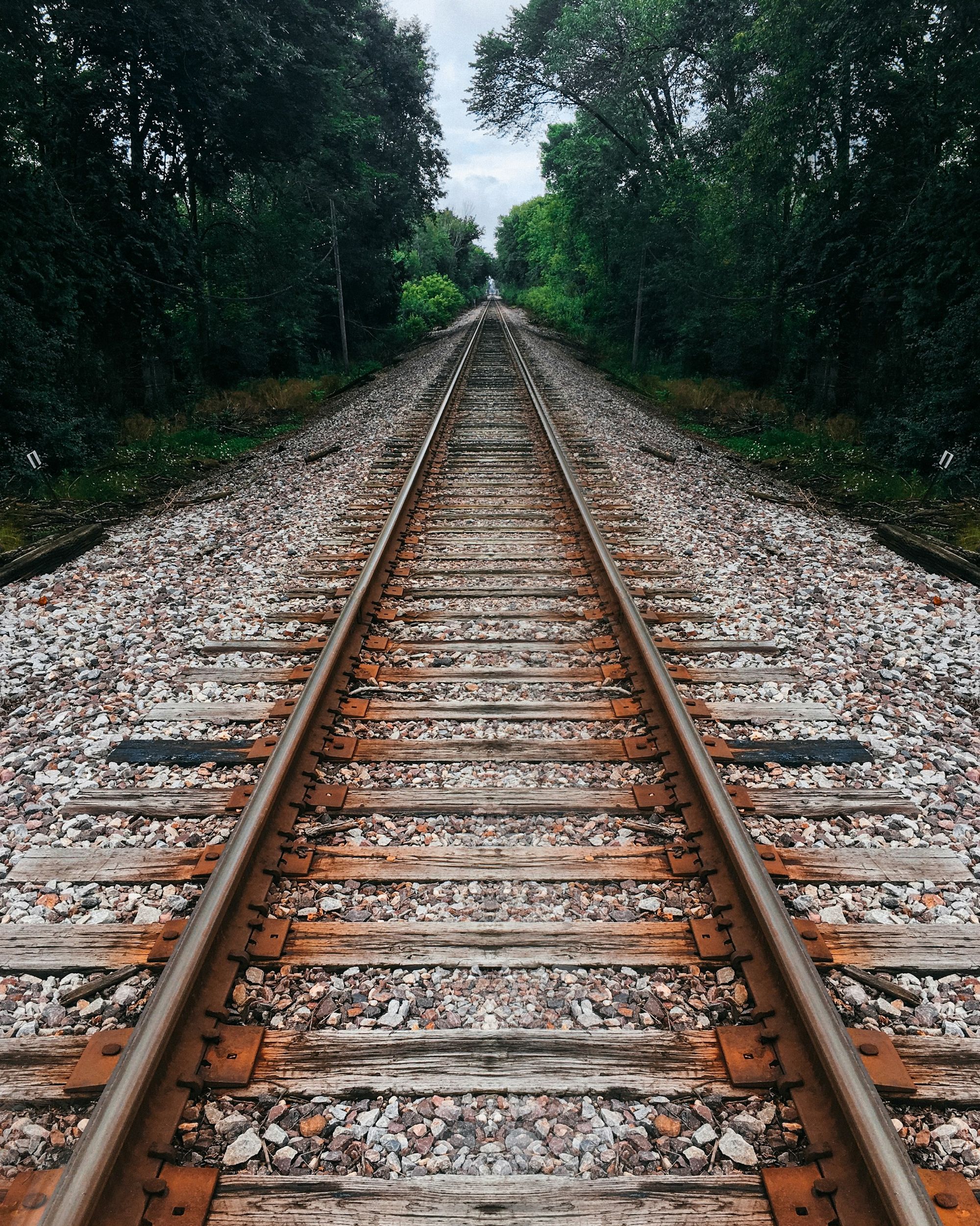 Railroad tracks stretching into the distance through green trees.
